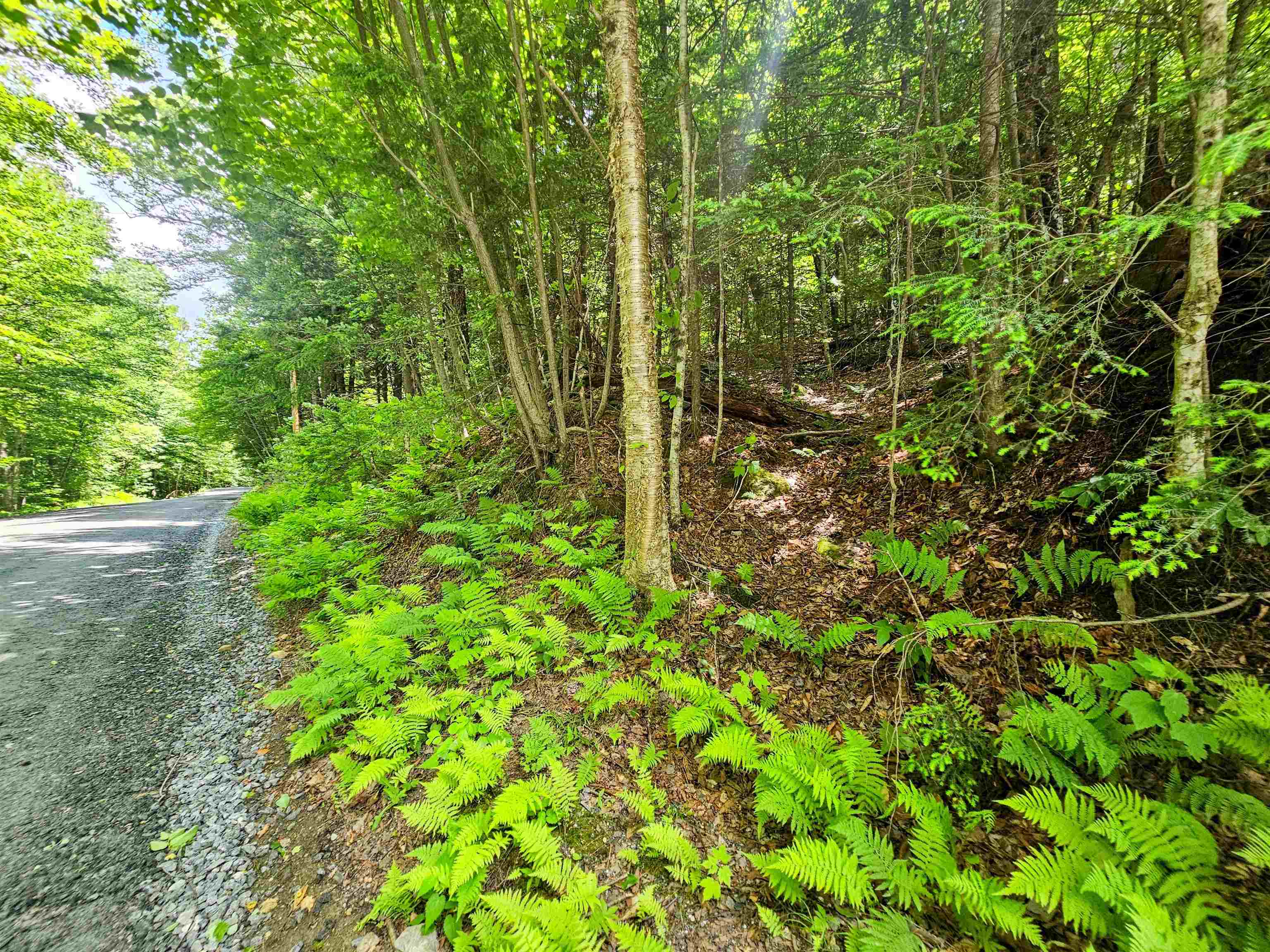 Smead Road