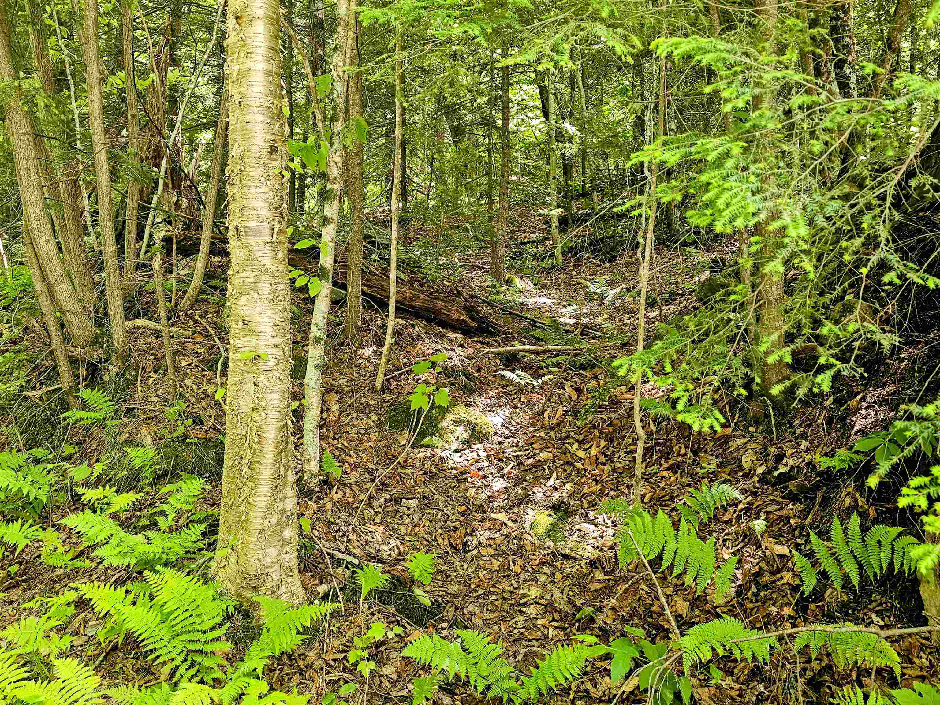 Smead Road