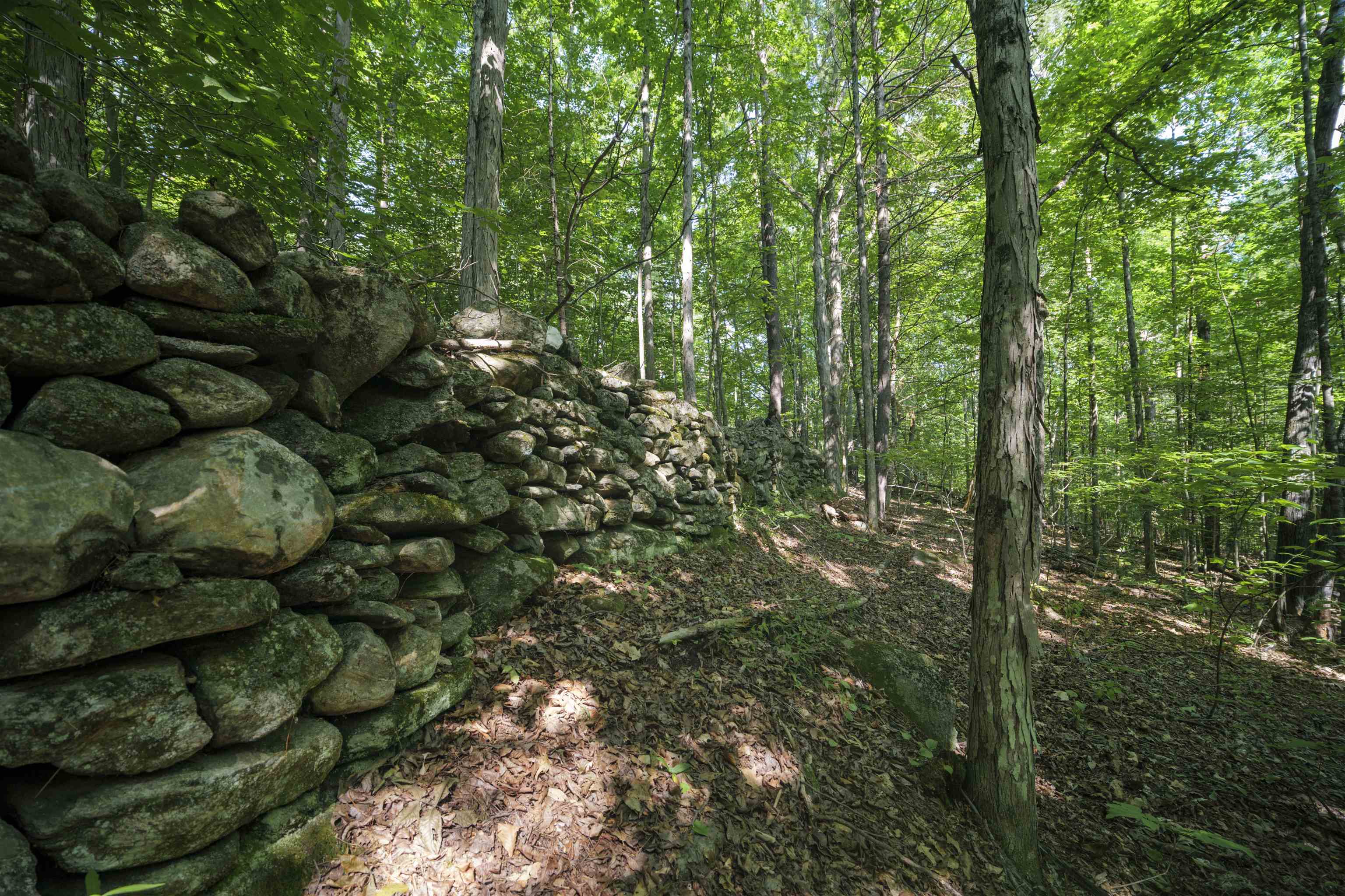 00 Howe Farm Road