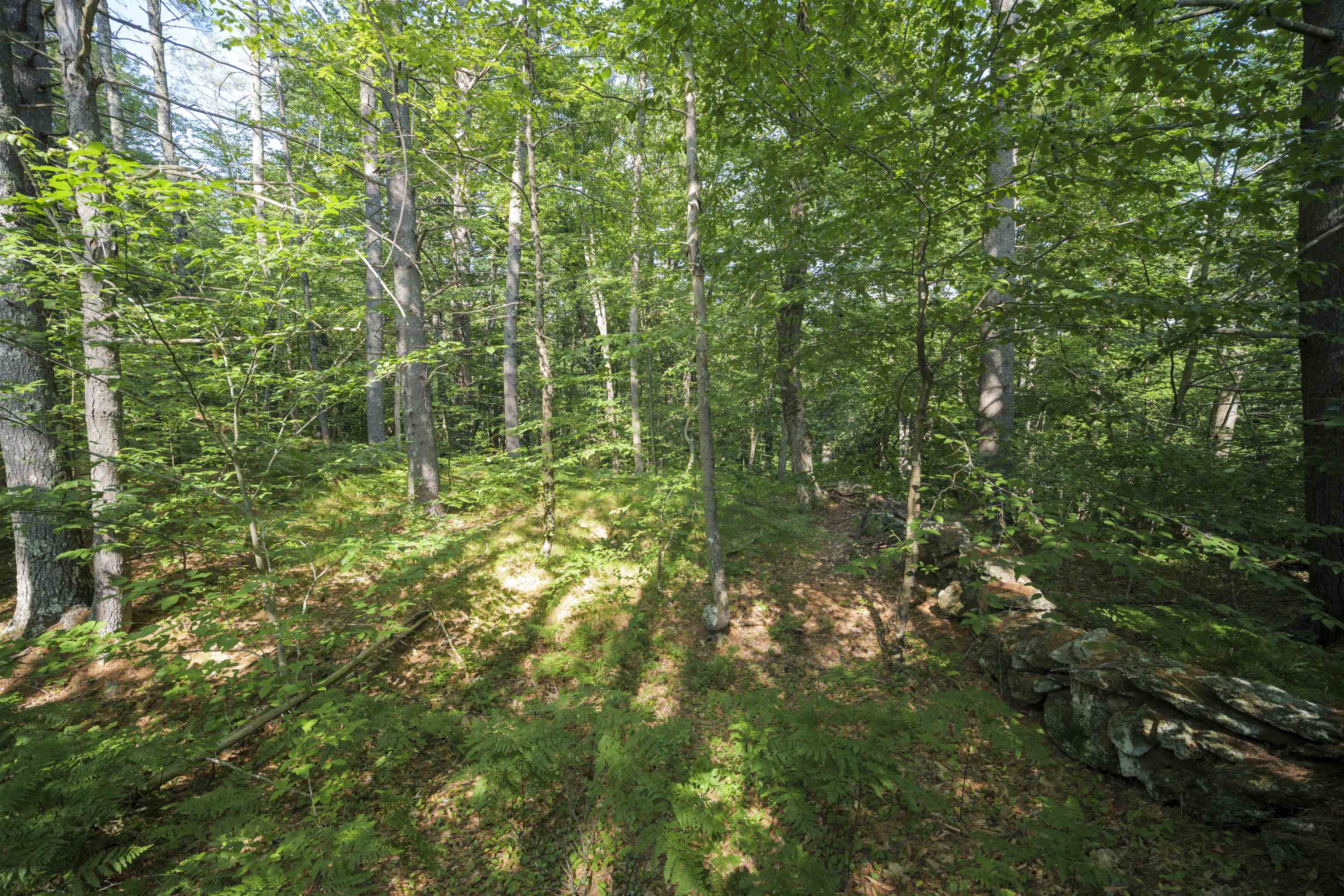 00 Howe Farm Road