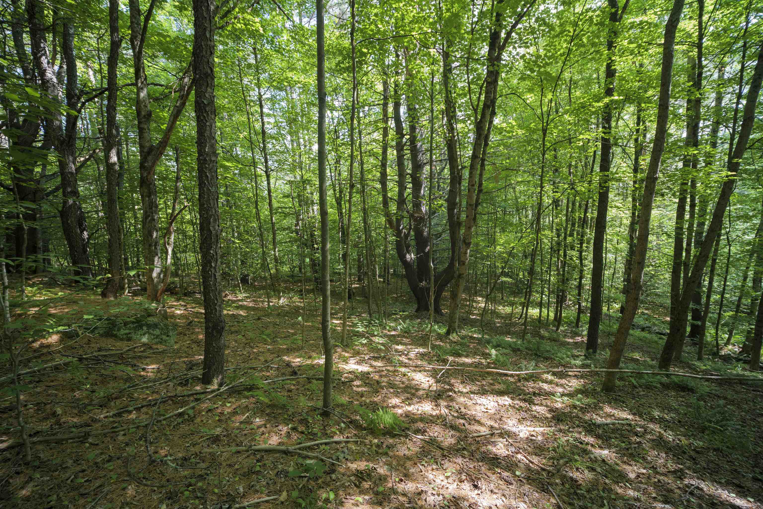 00 Howe Farm Road