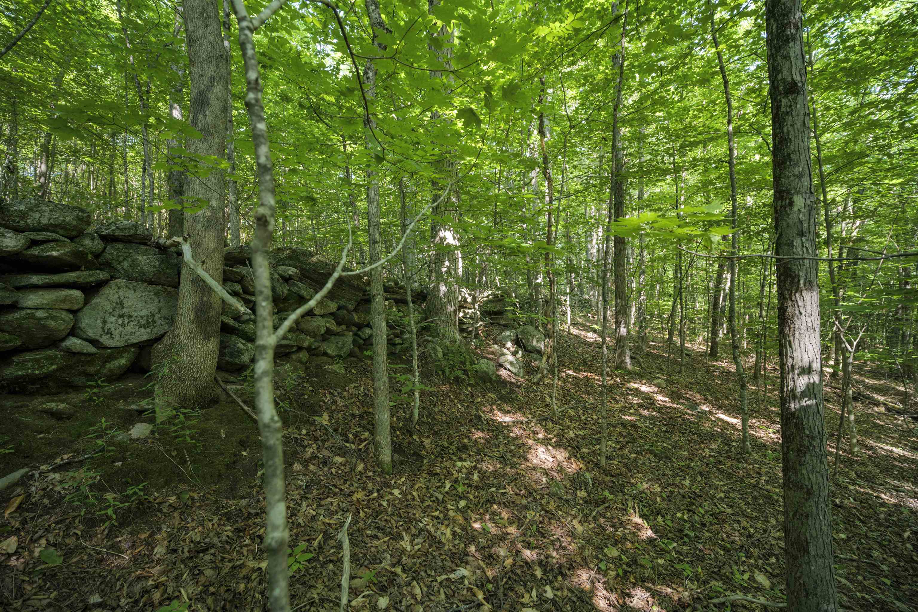 00 Howe Farm Road