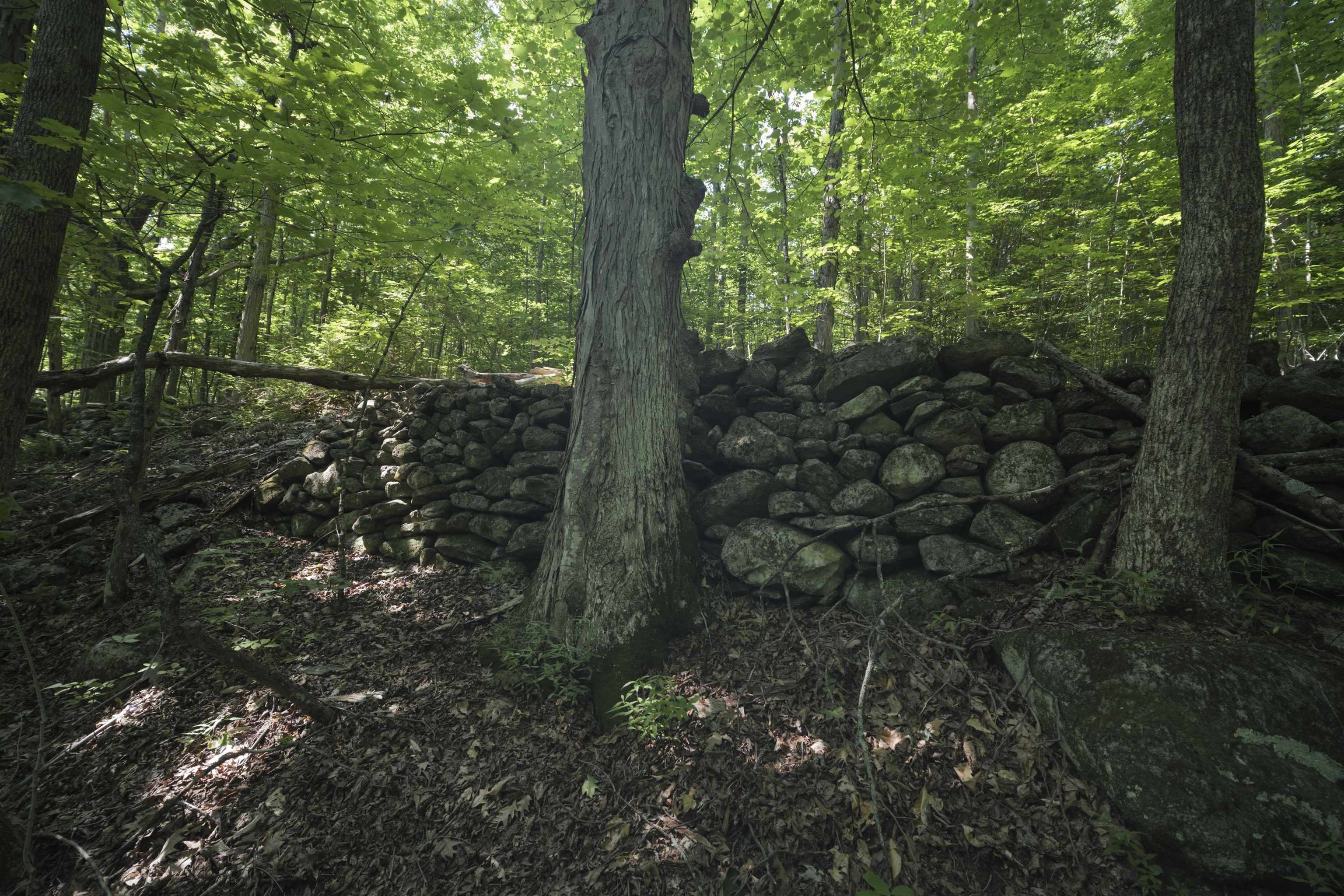 00 Howe Farm Road