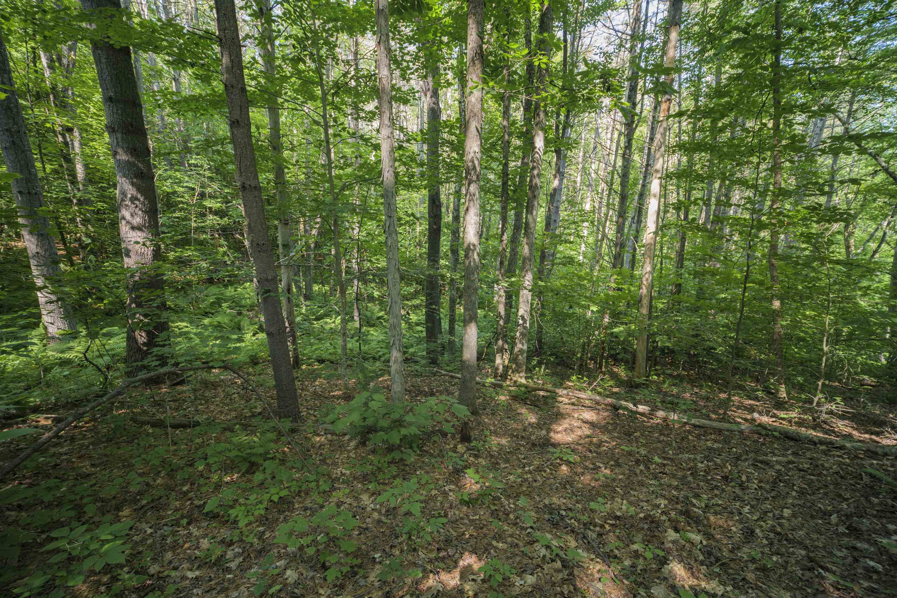 00 Howe Farm Road