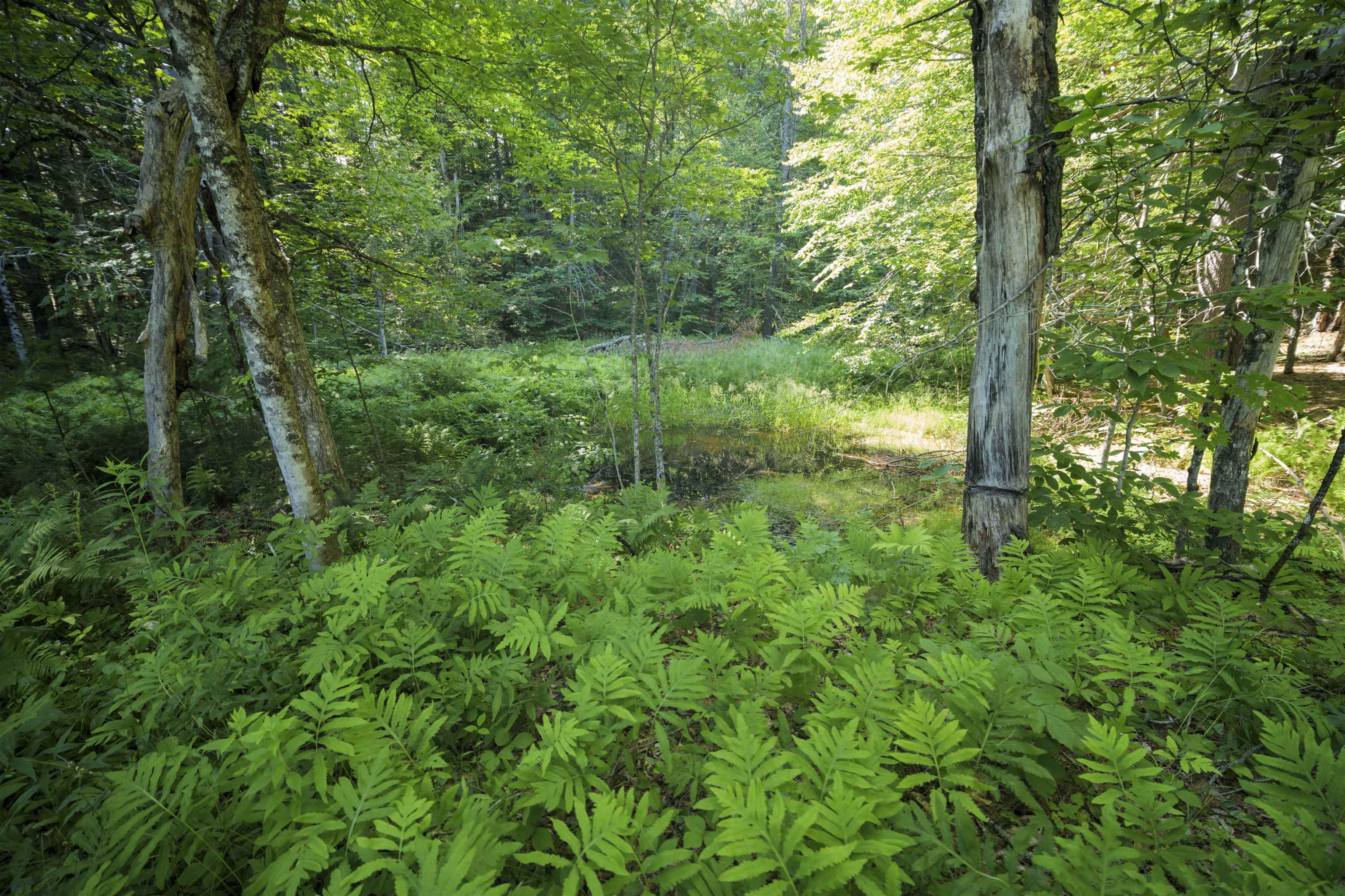 00 Howe Farm Road