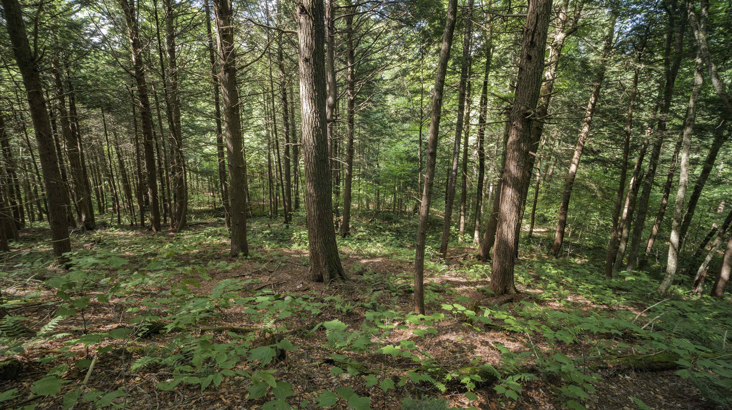 00 Ryder Pond Road