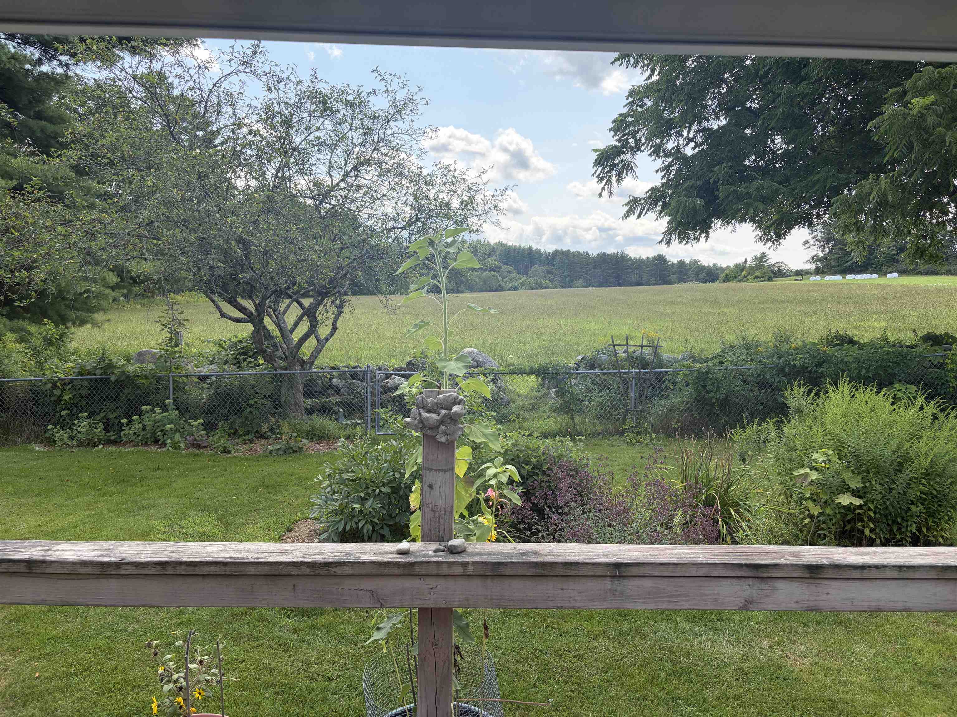 116 Green Meadow Road