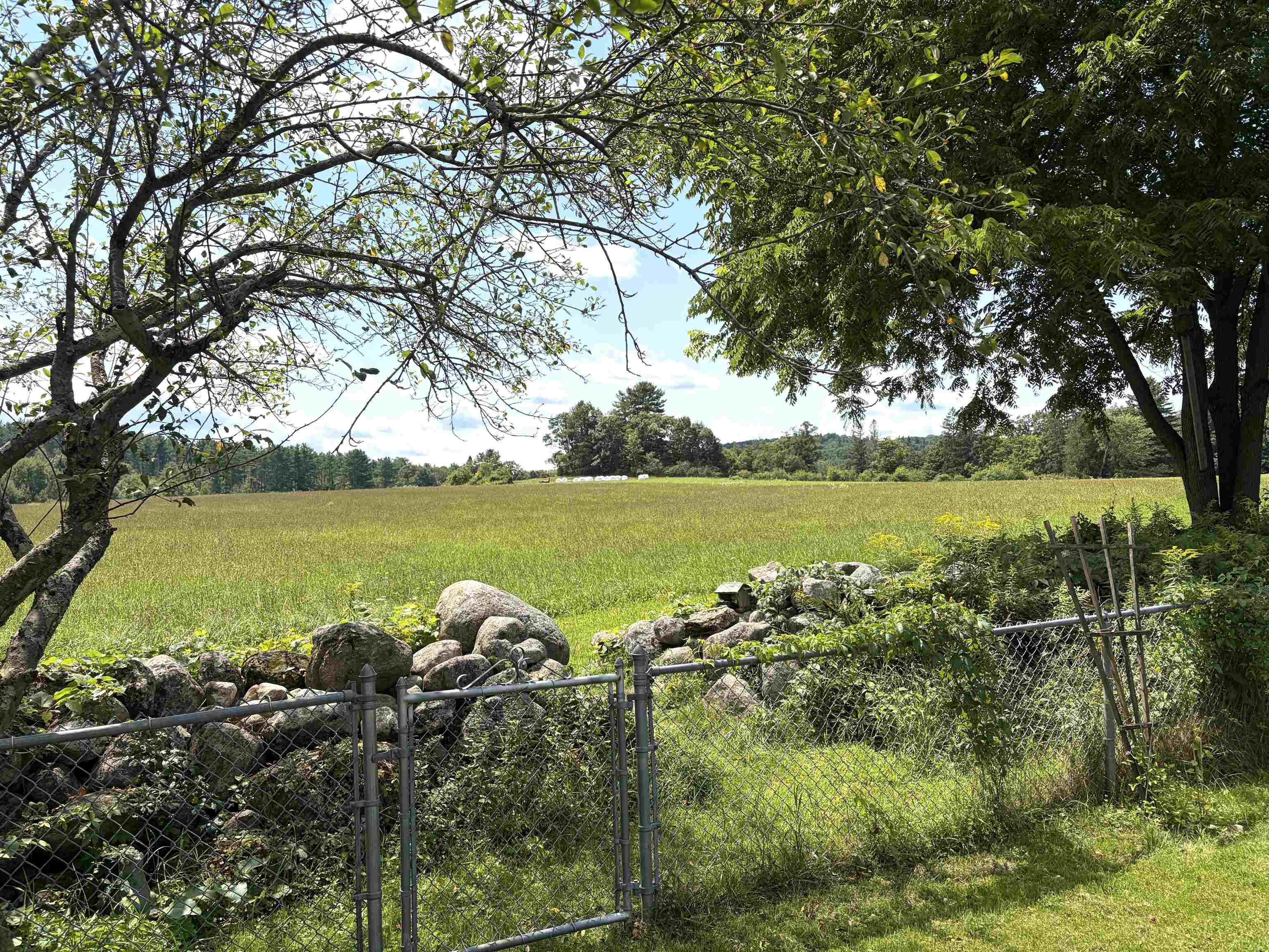 116 Green Meadow Road