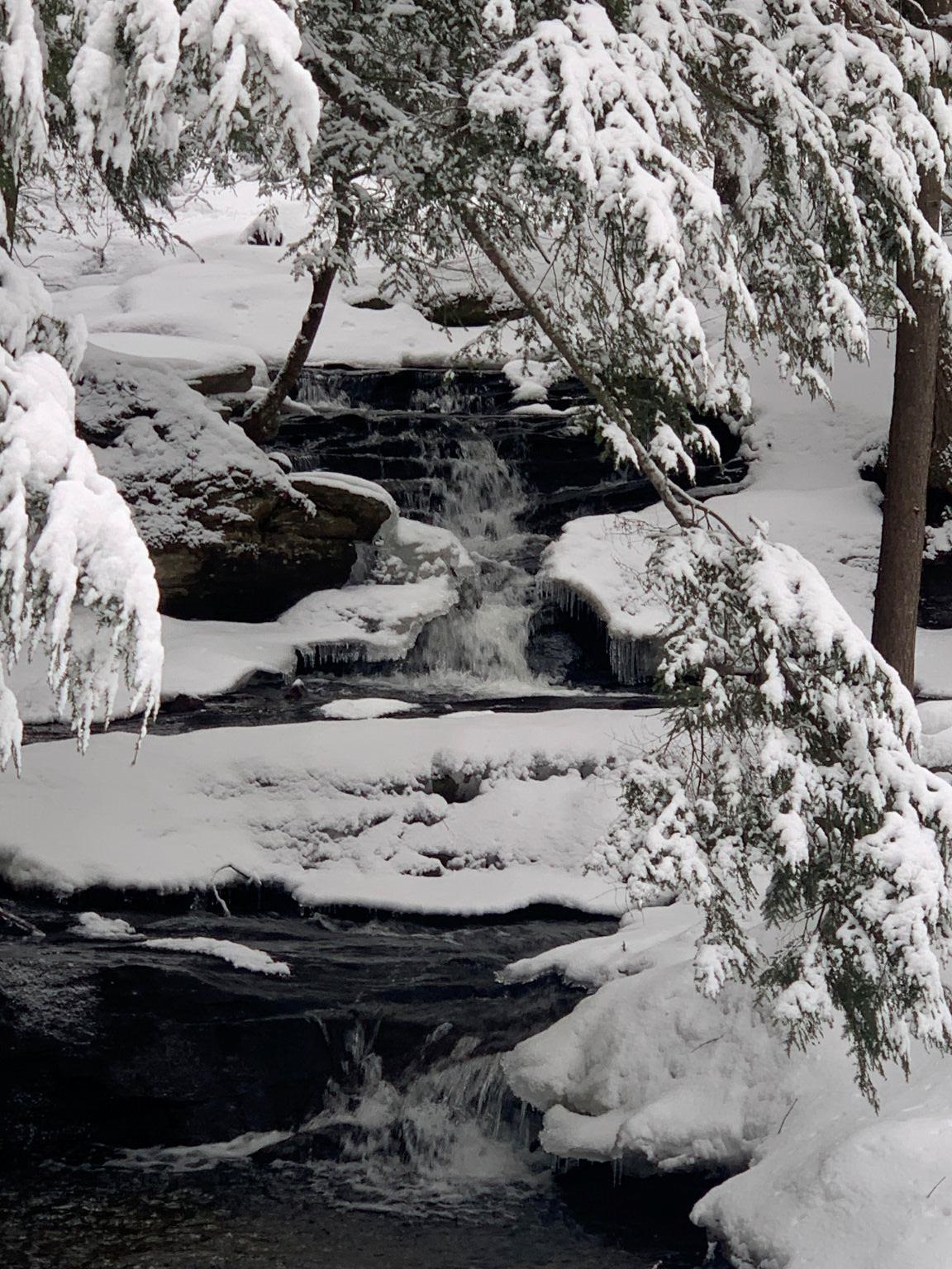 954 Boardman Loop