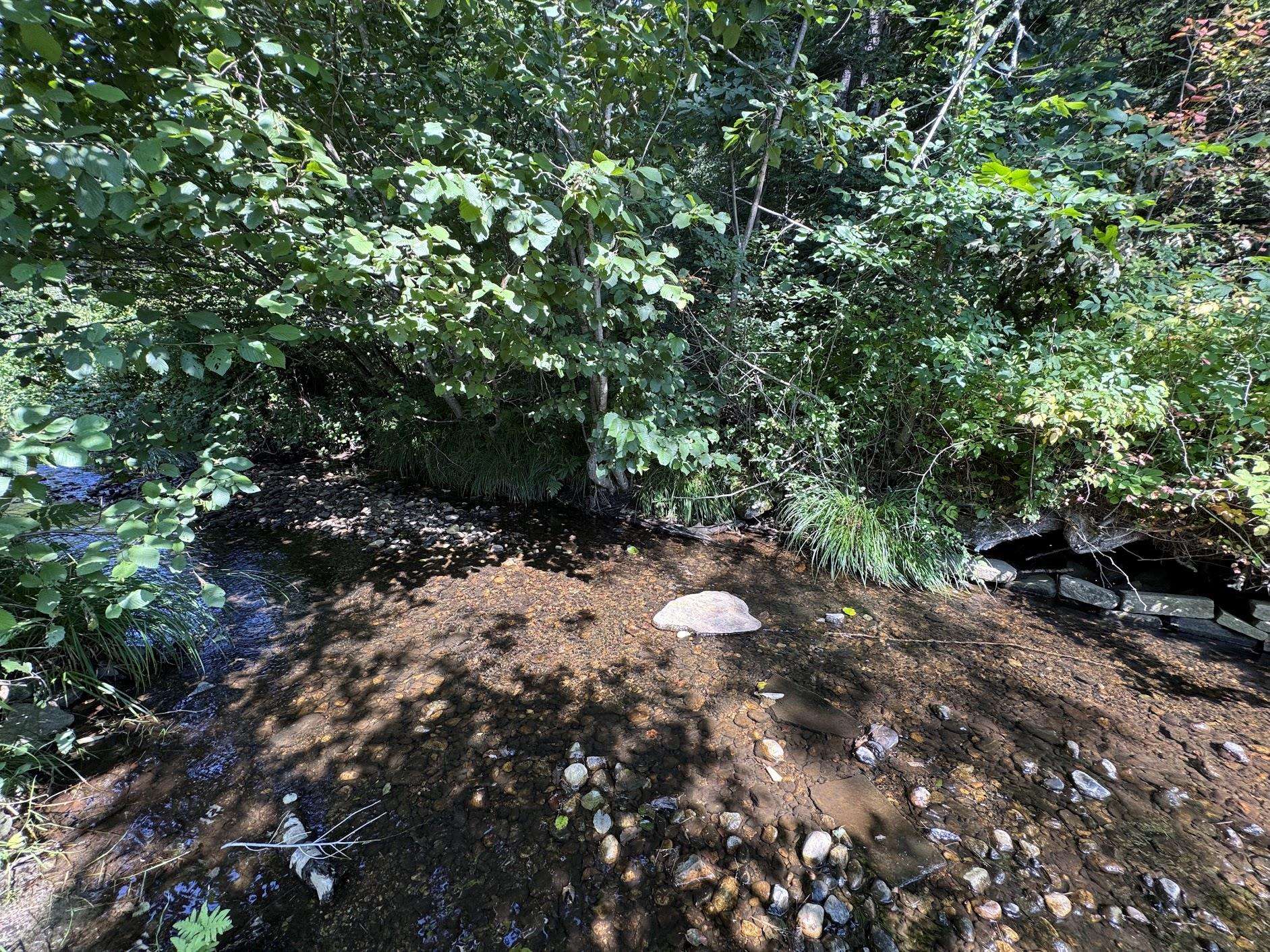 1673 Dean Brook Road