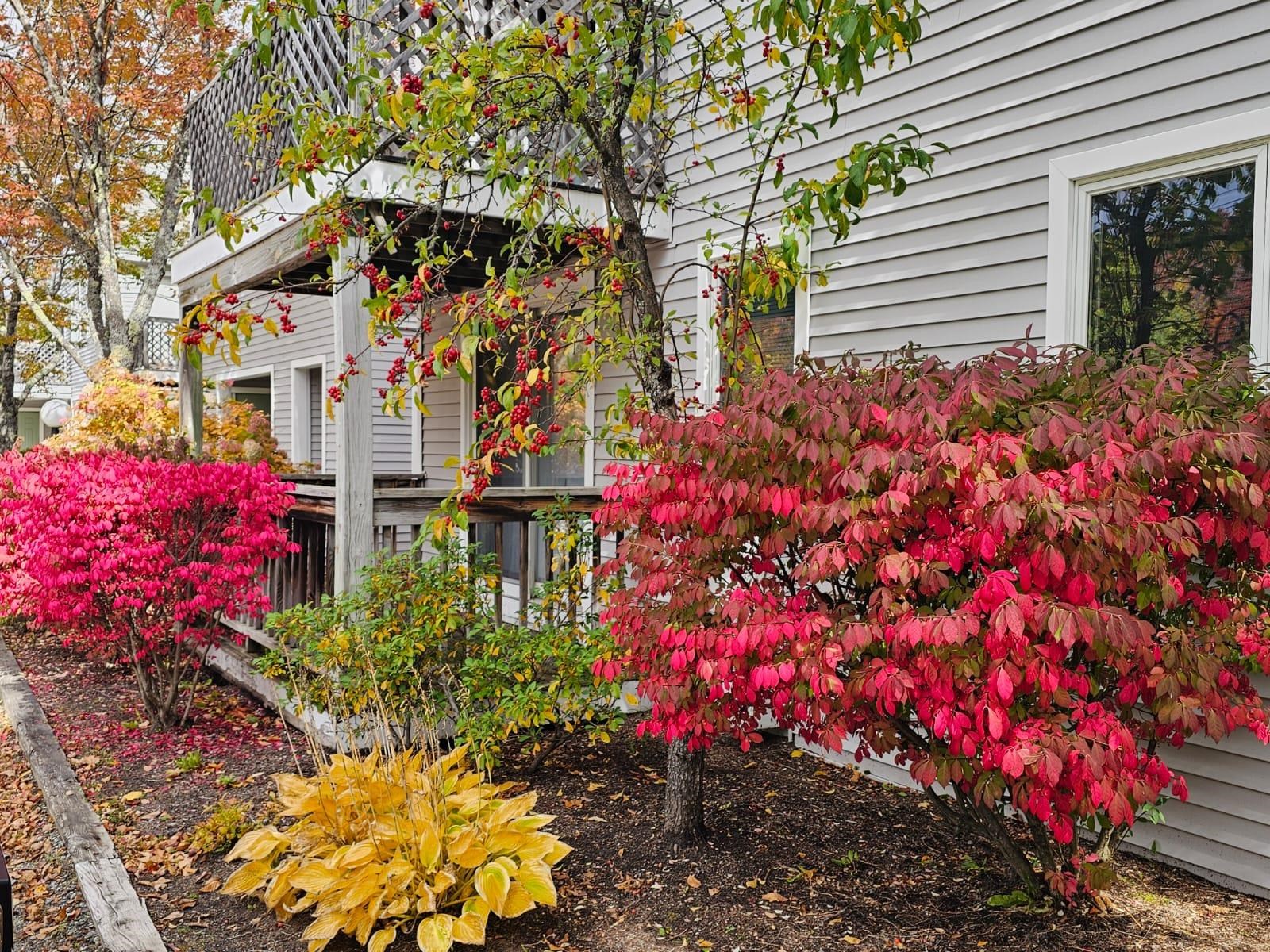 266 Handle Road Unit: I