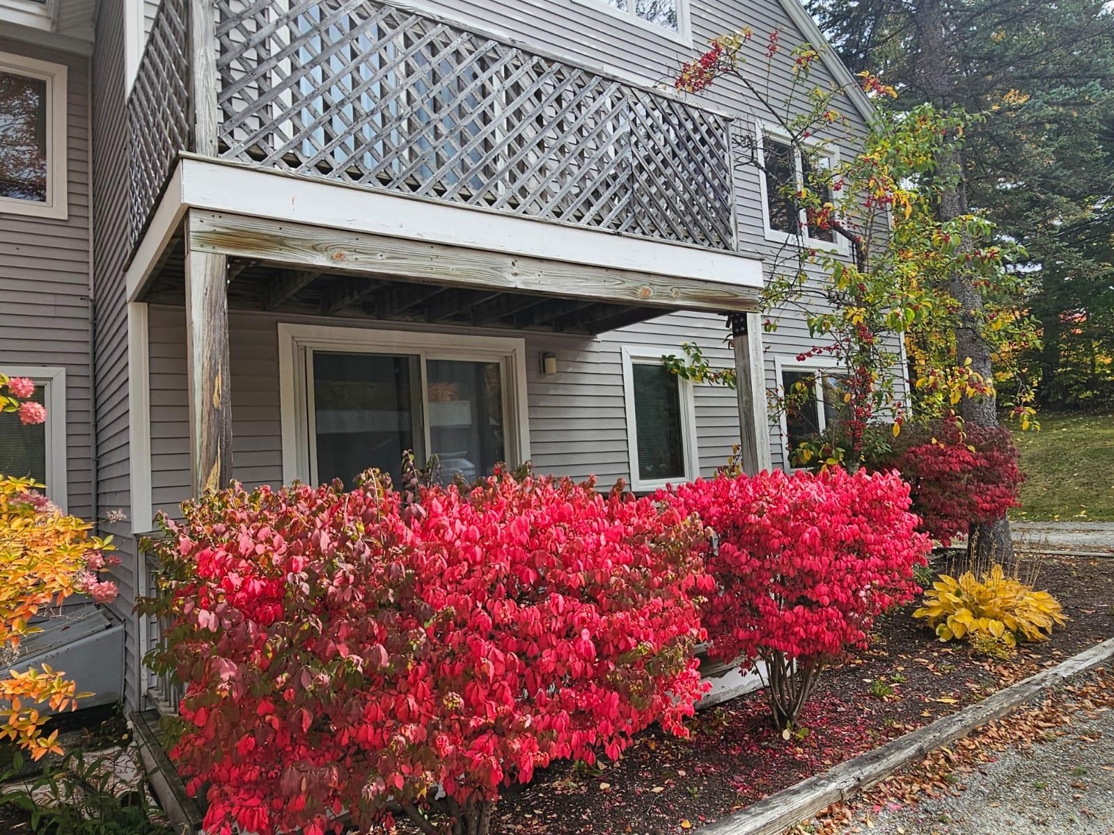 266 Handle Road Unit: I