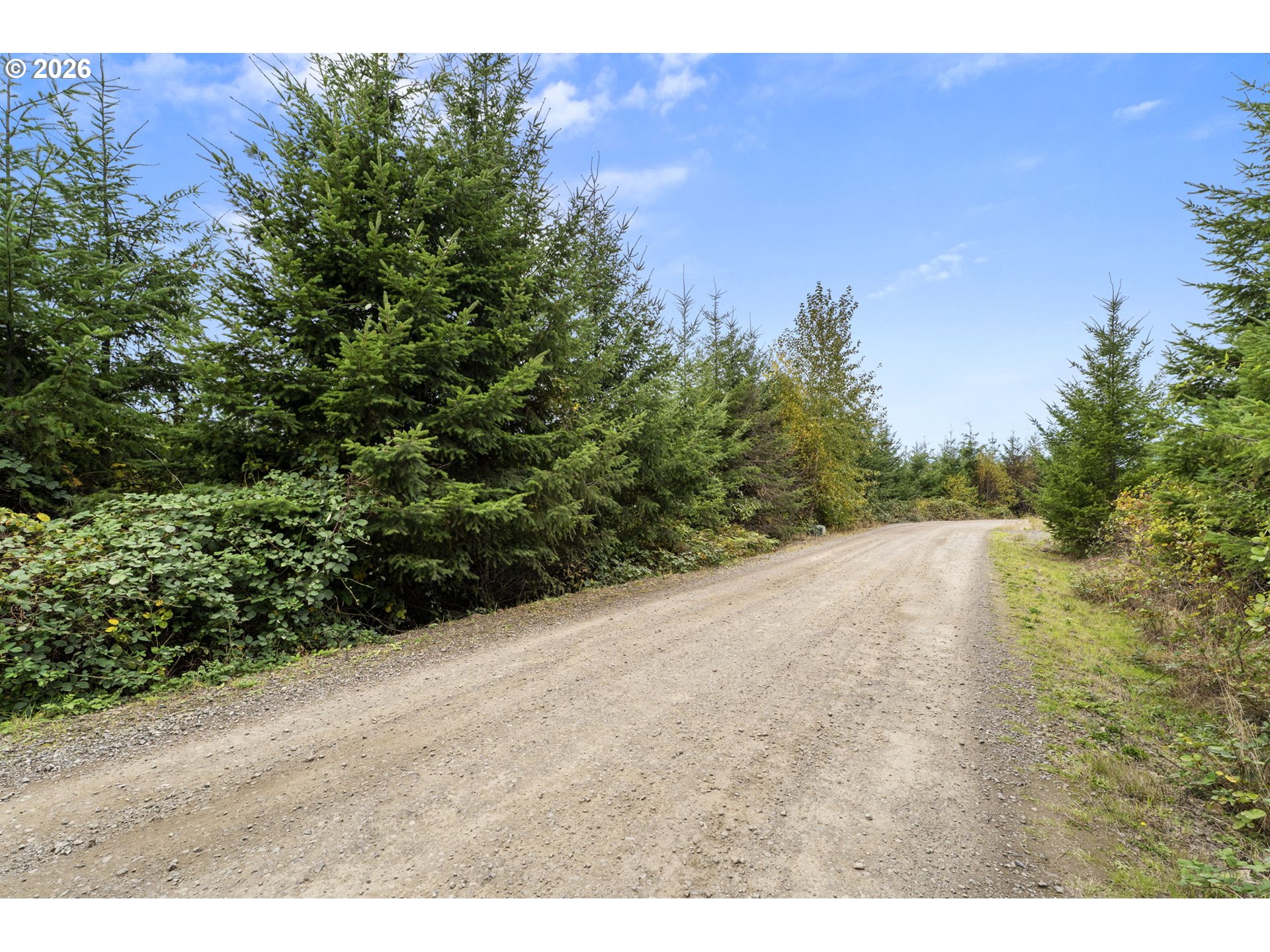 0 N Bootjack LN
