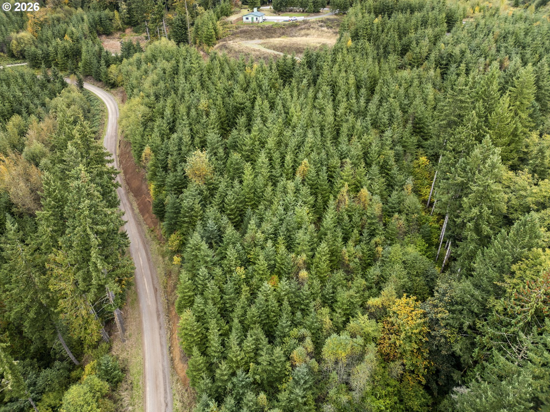 0 N Bootjack LN