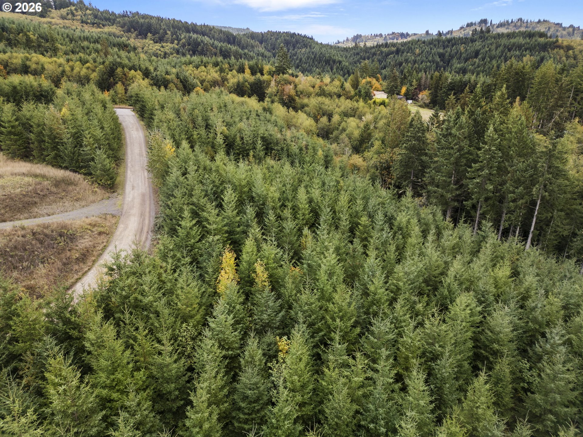 0 N Bootjack LN