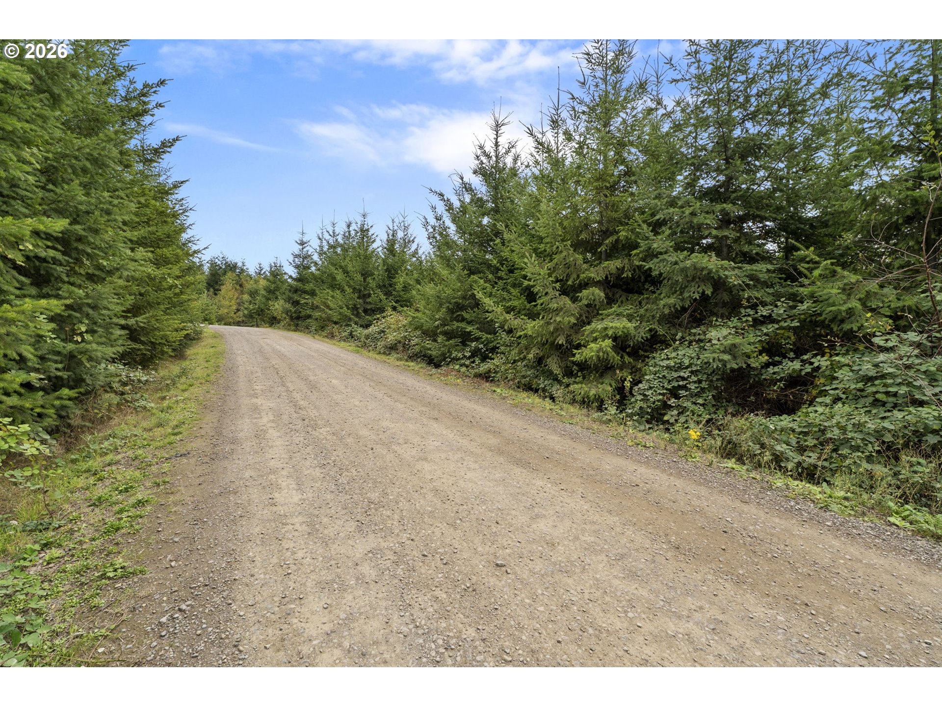 0 N Bootjack LN