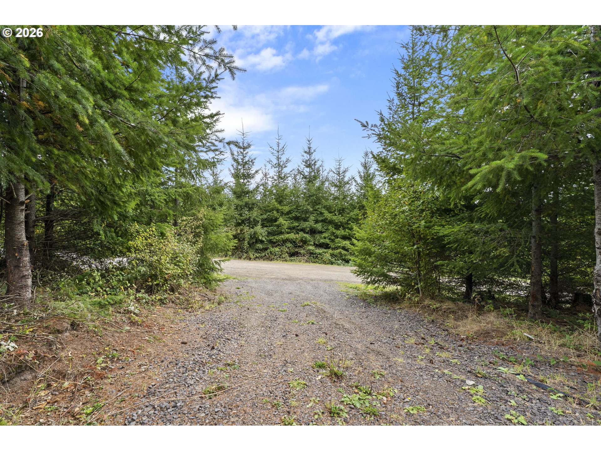 0 N Bootjack LN