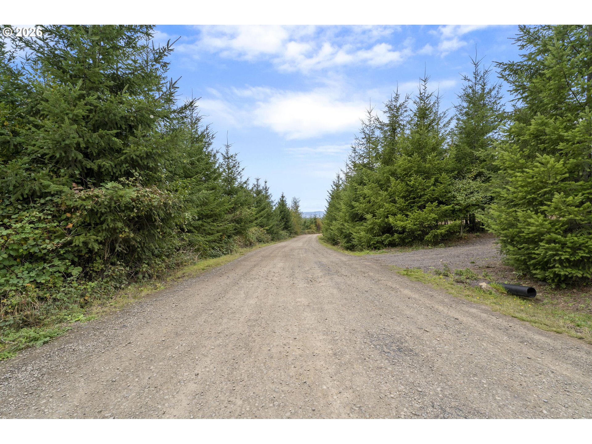 0 N Bootjack LN