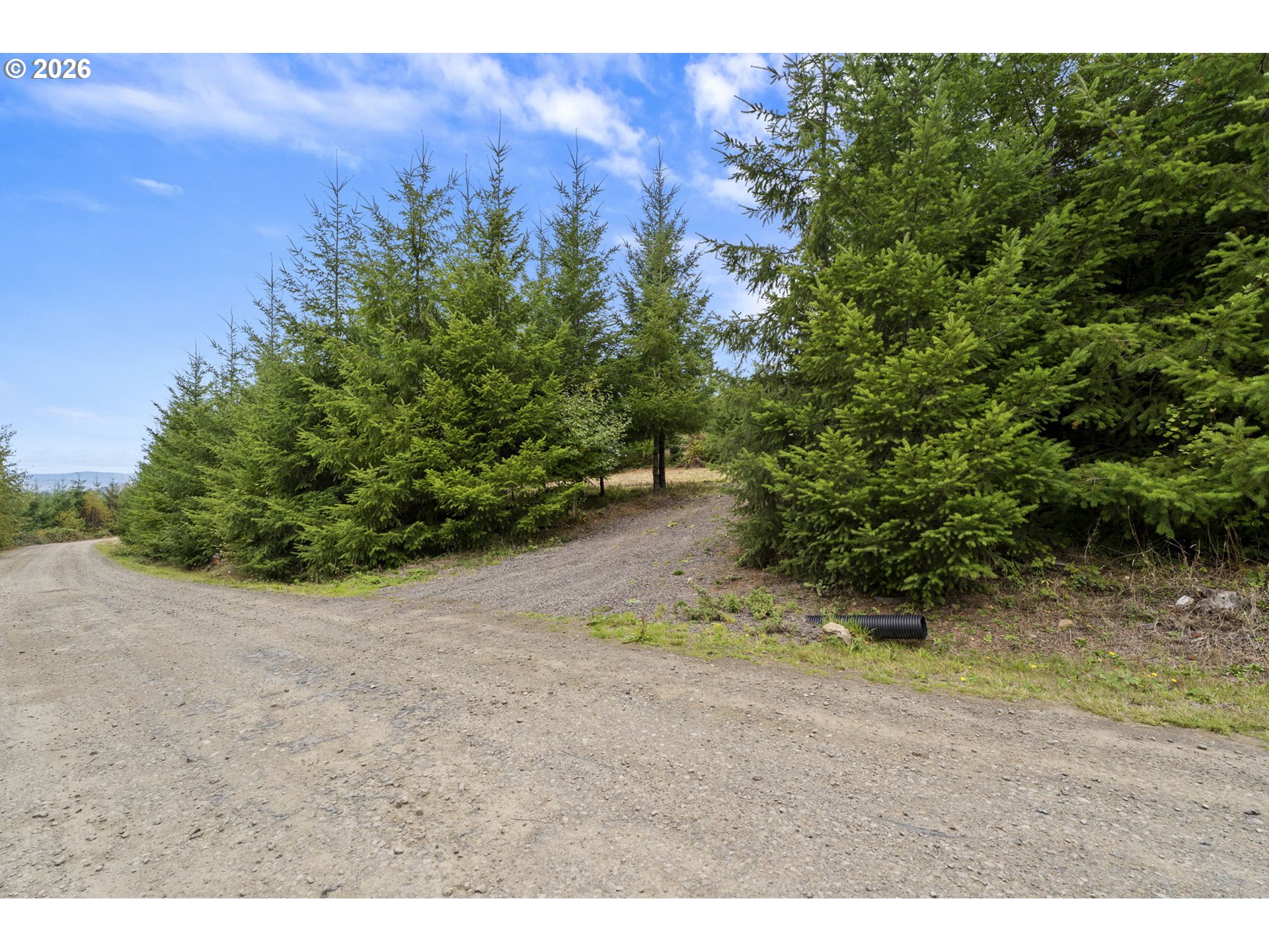 0 N Bootjack LN
