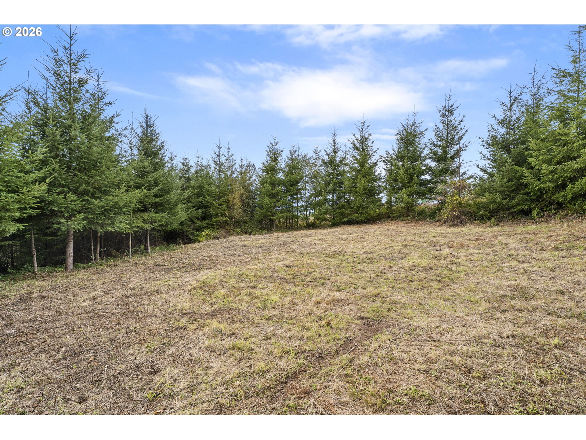 0 N Bootjack LN