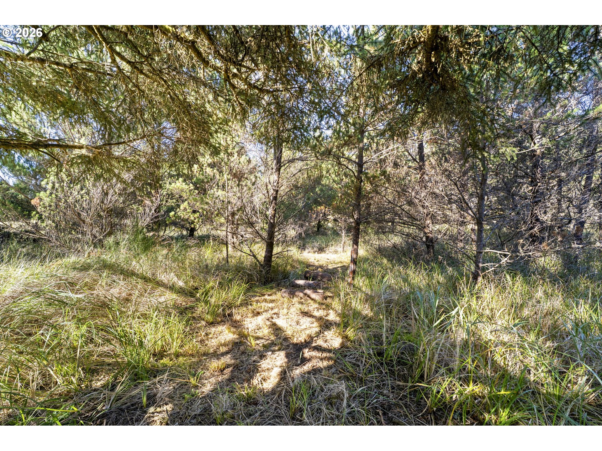 11119 PACIFIC WAY