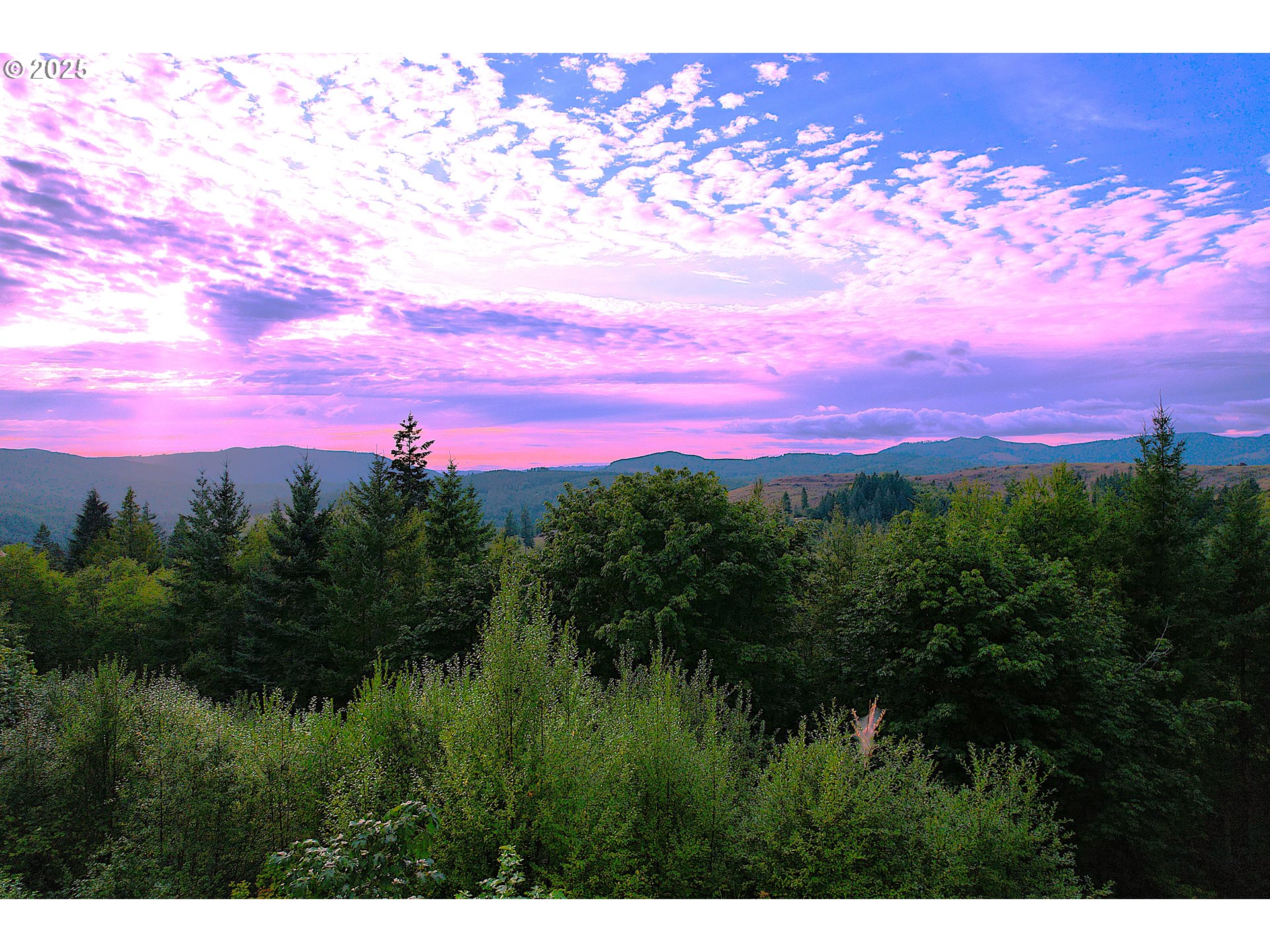 366 Jackrabbit RD