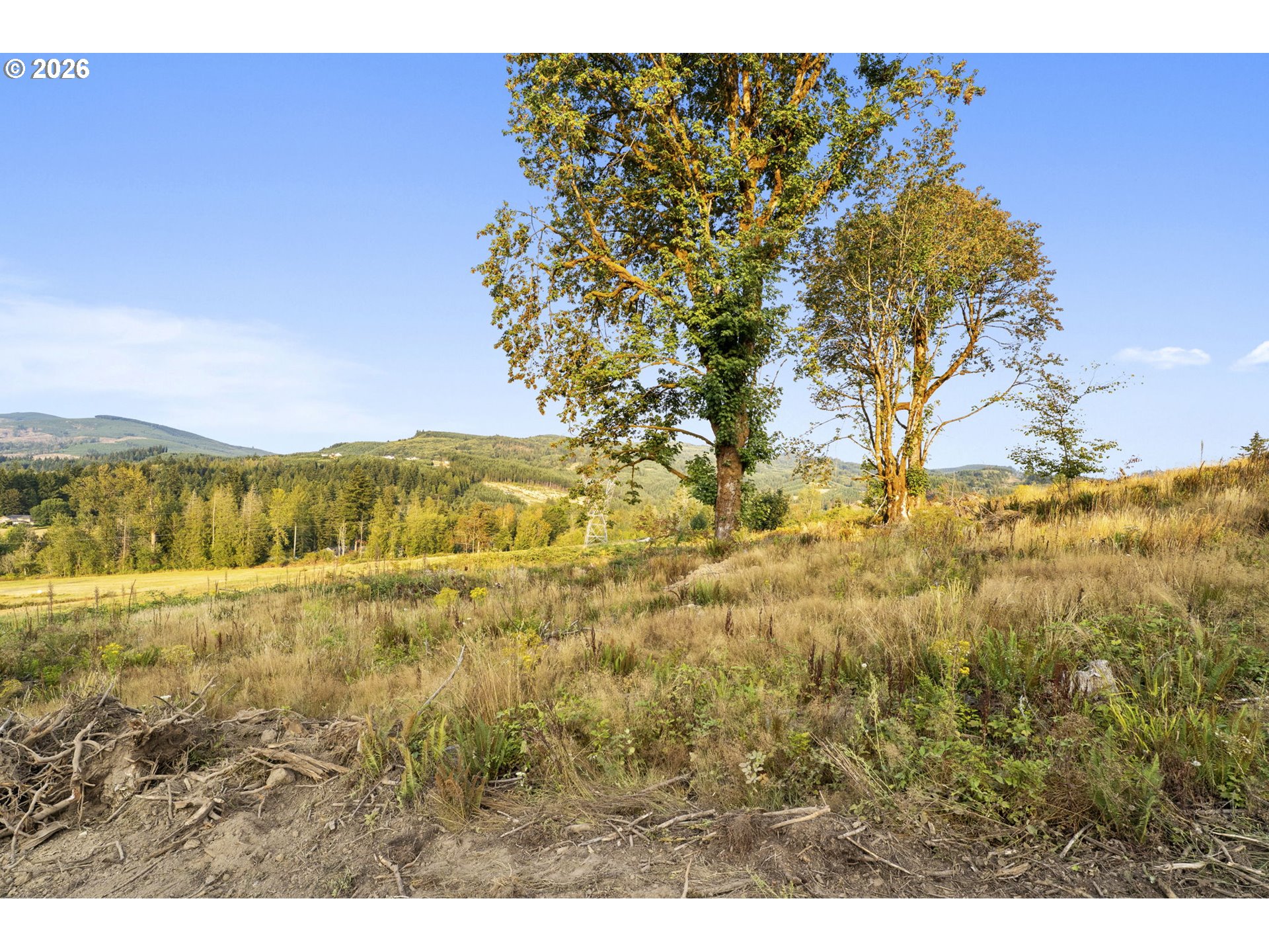 391 Brook Valley RD