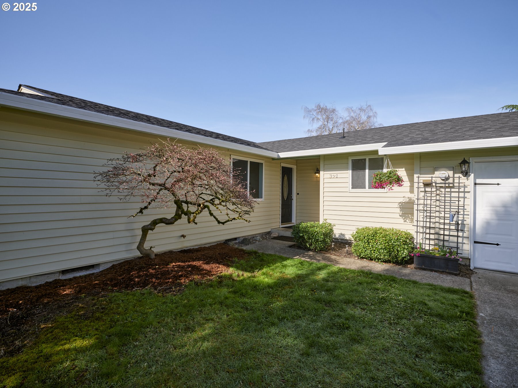 391 CEDAR AVE