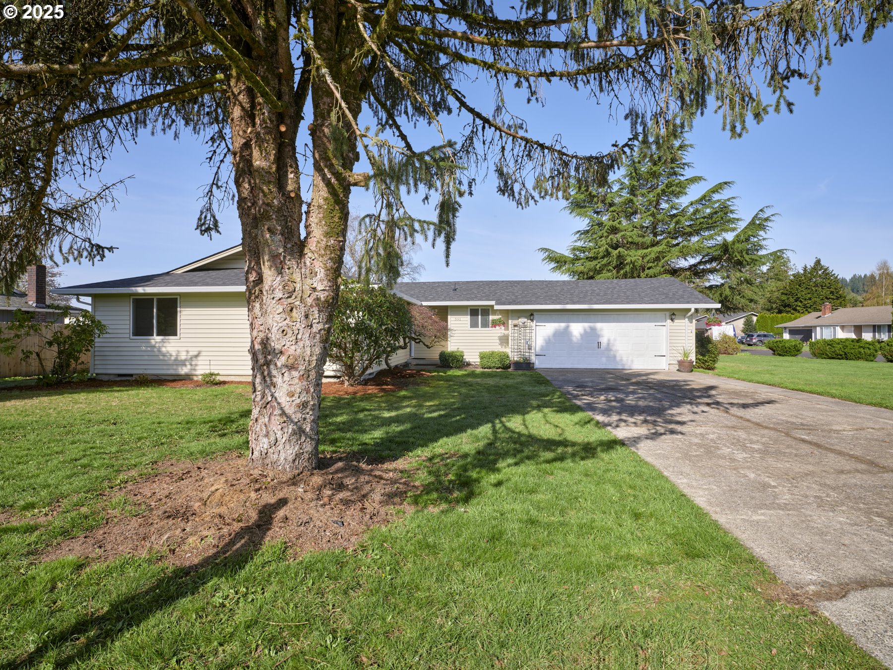 391 CEDAR AVE