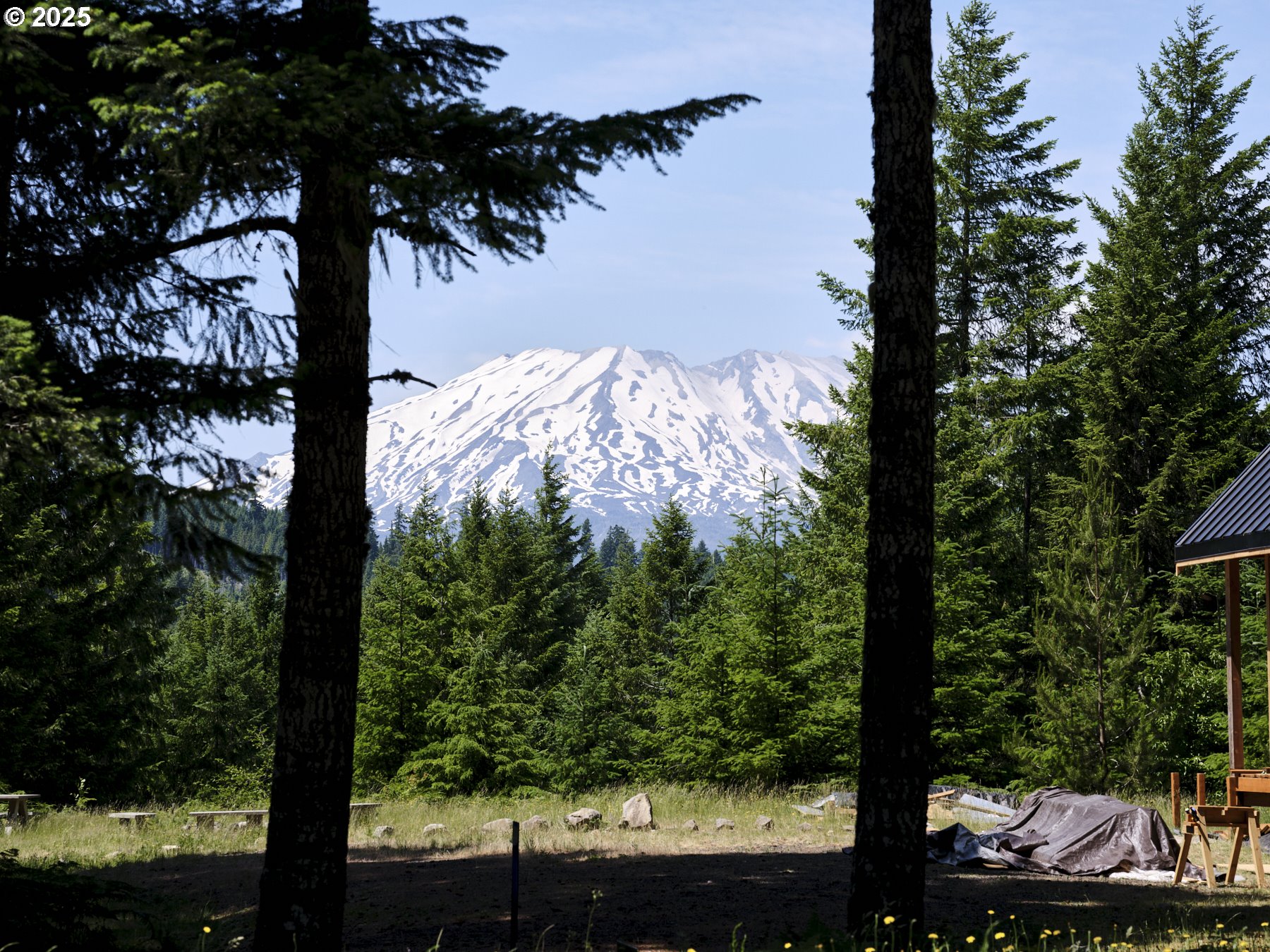 Phyllis Block Ann CT
