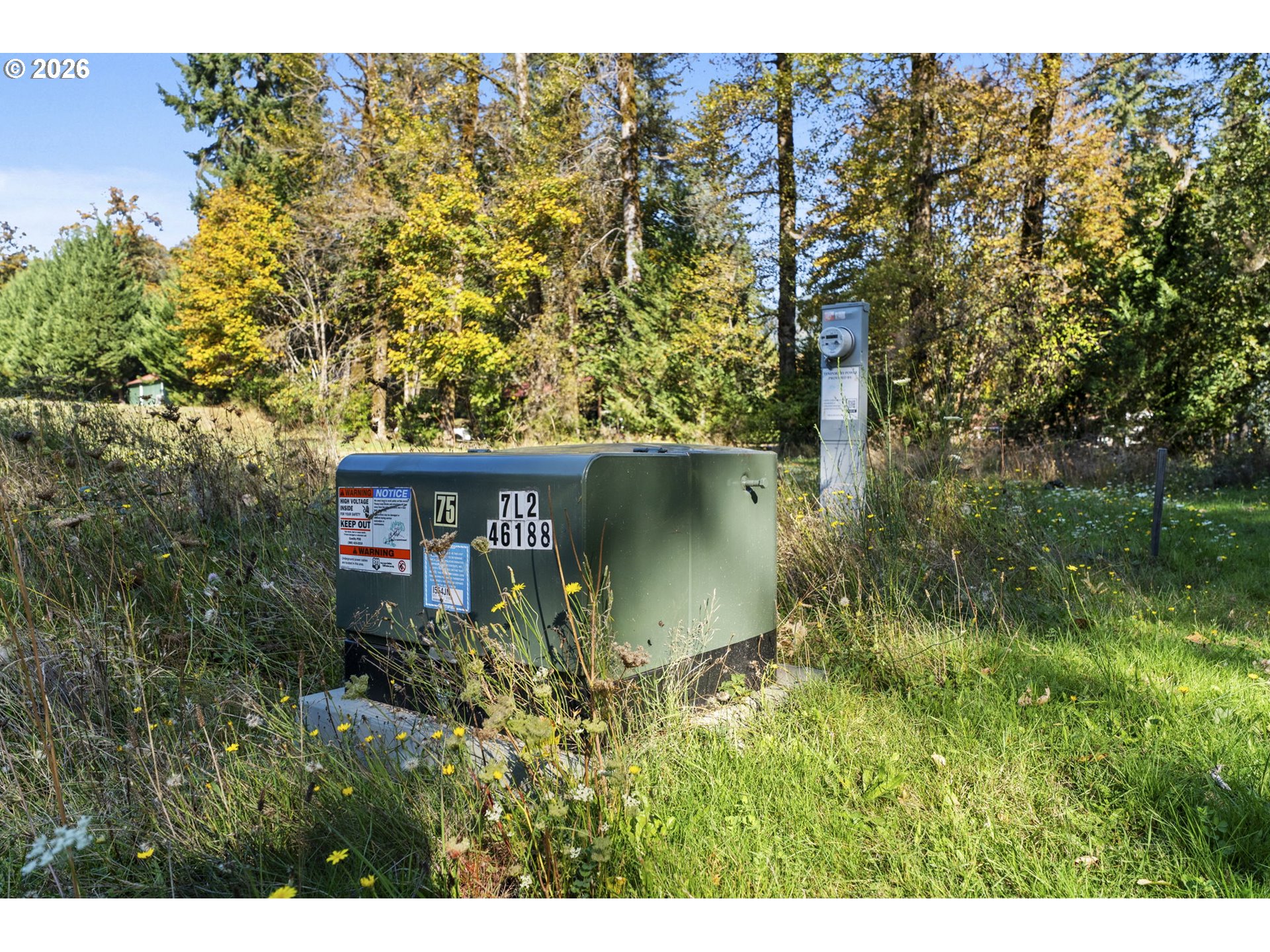 16764 LEWIS RIVER RD