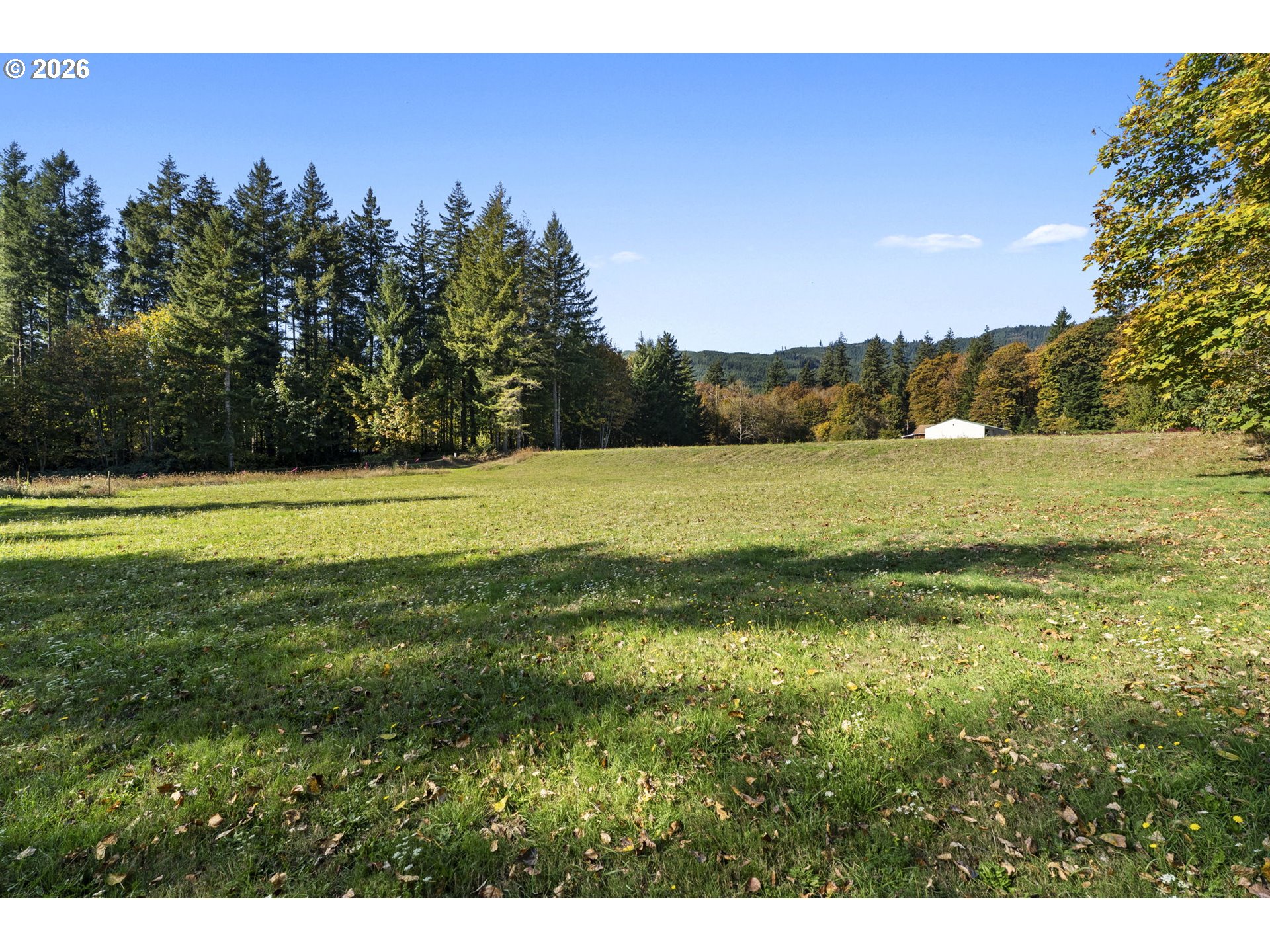16764 LEWIS RIVER RD