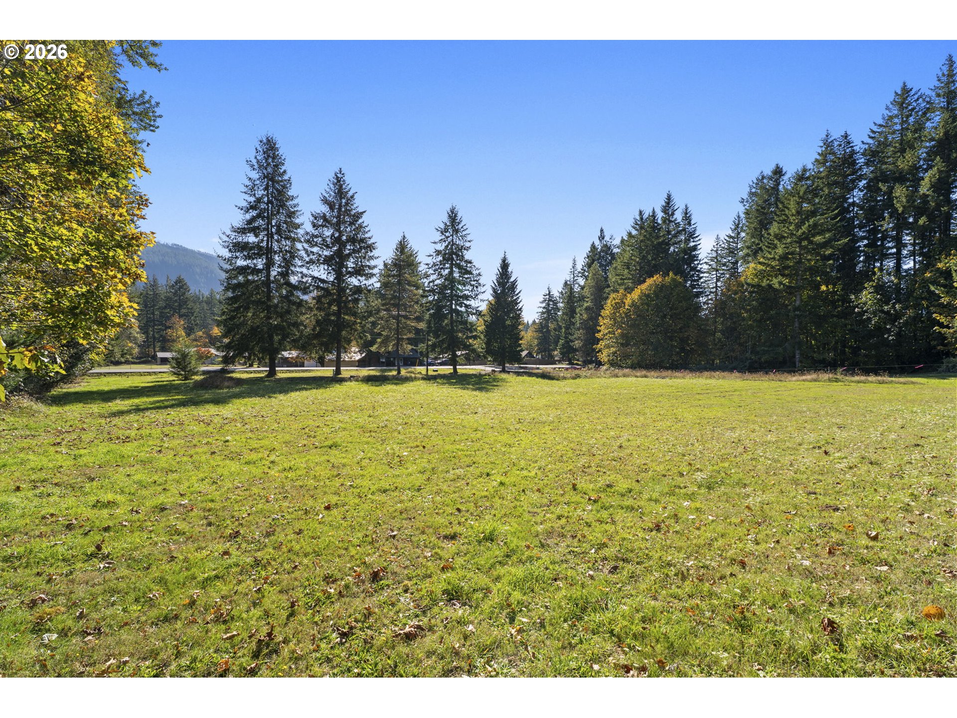 16764 LEWIS RIVER RD