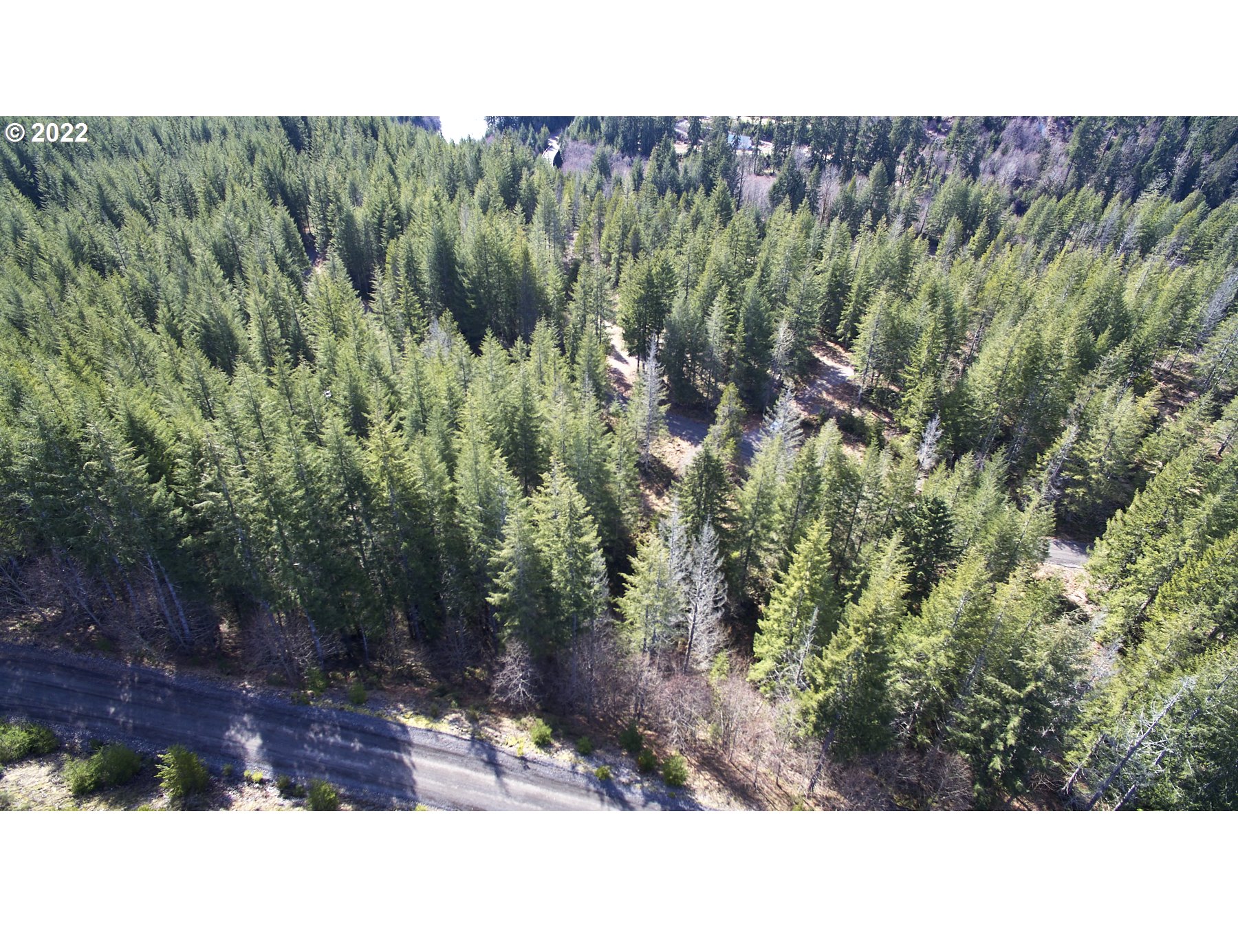 Lahar LN 8