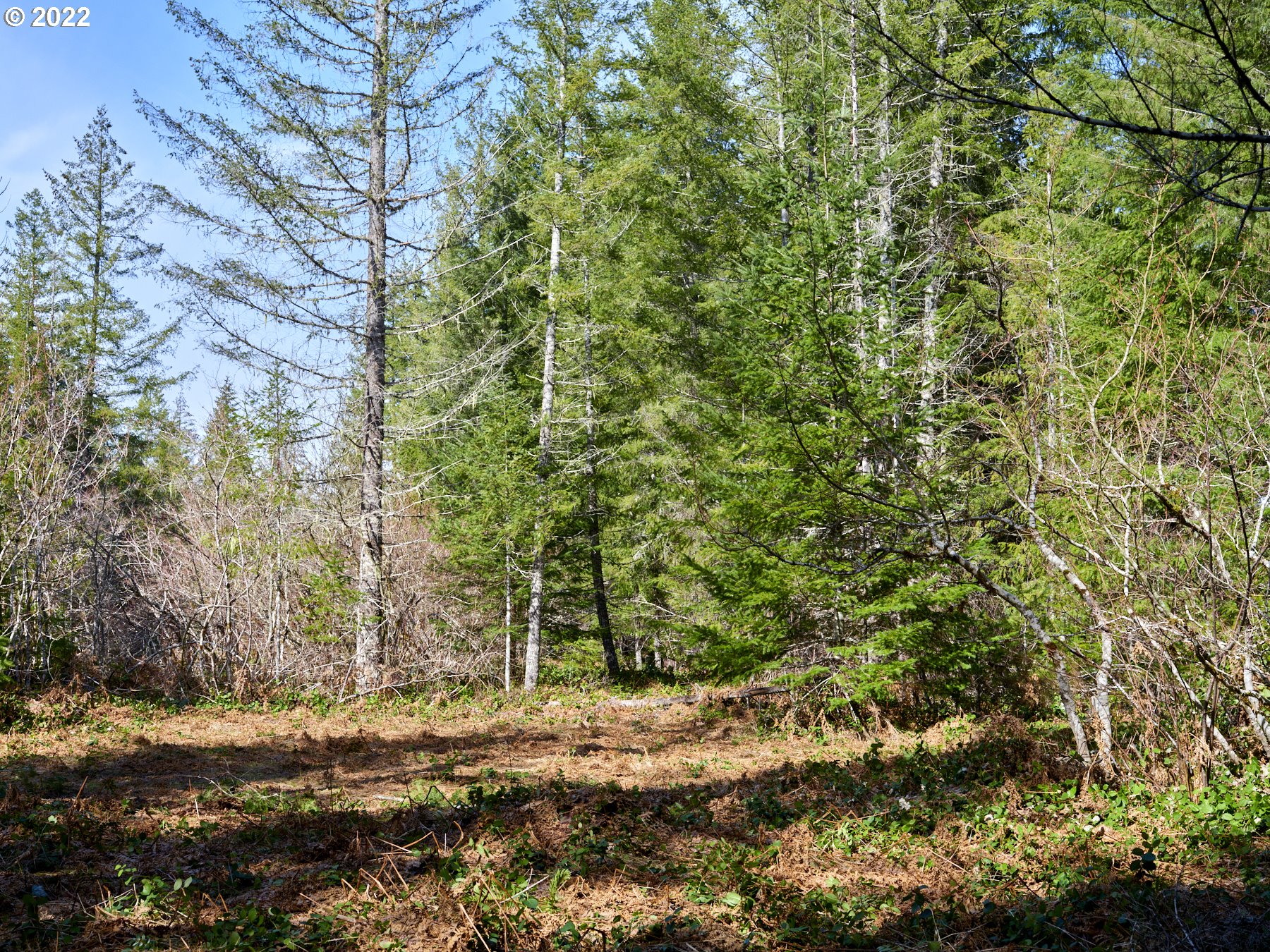Lahar LN 8