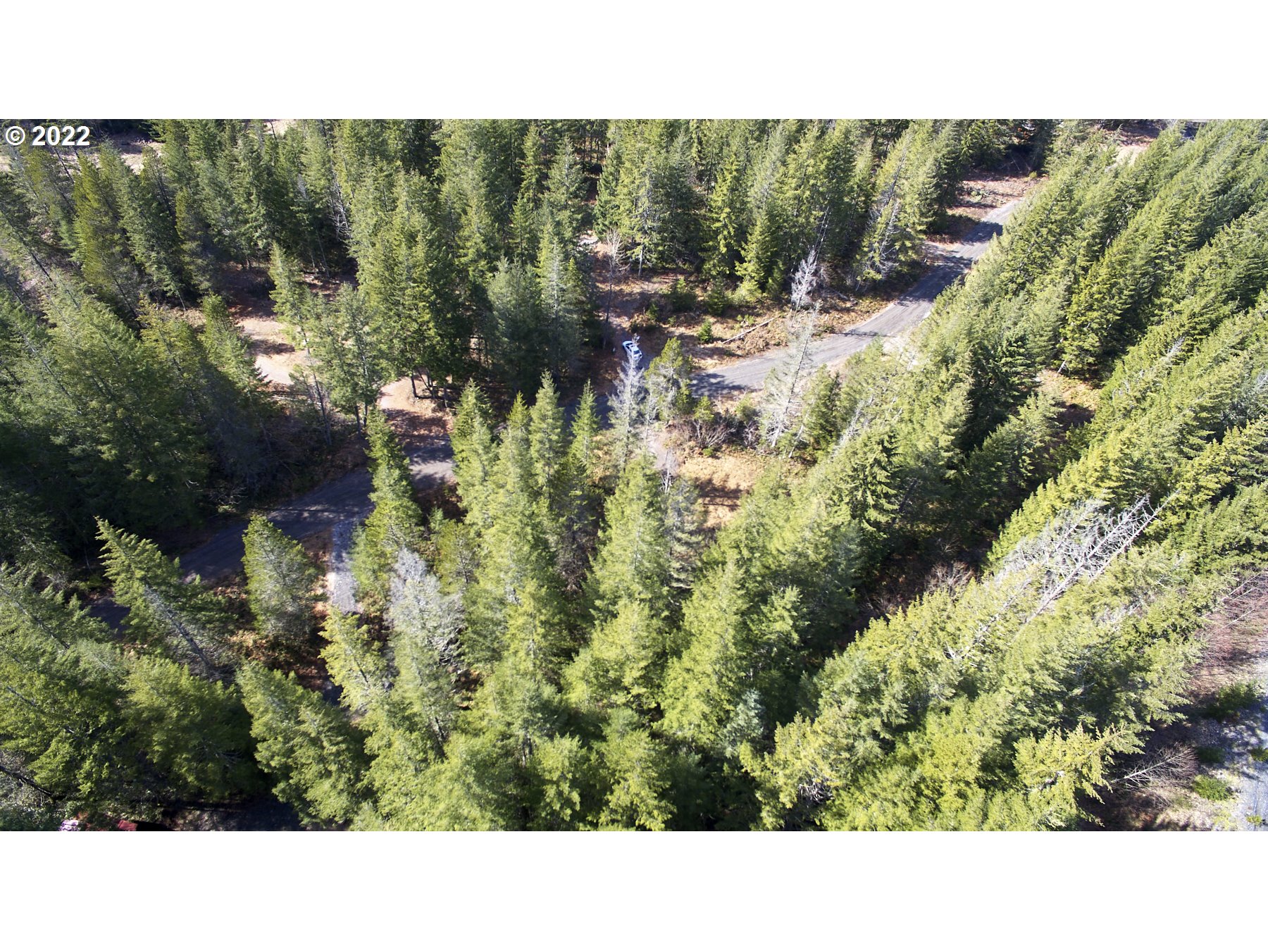 Lahar LN 8