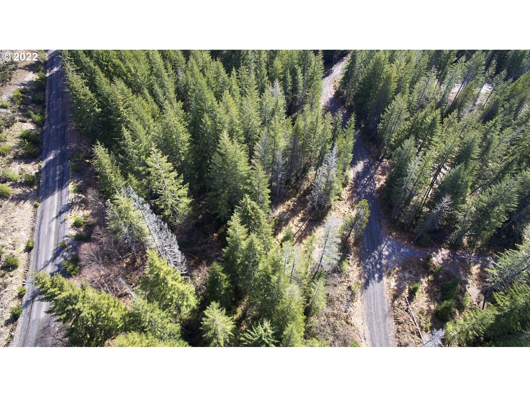Lahar LN 8