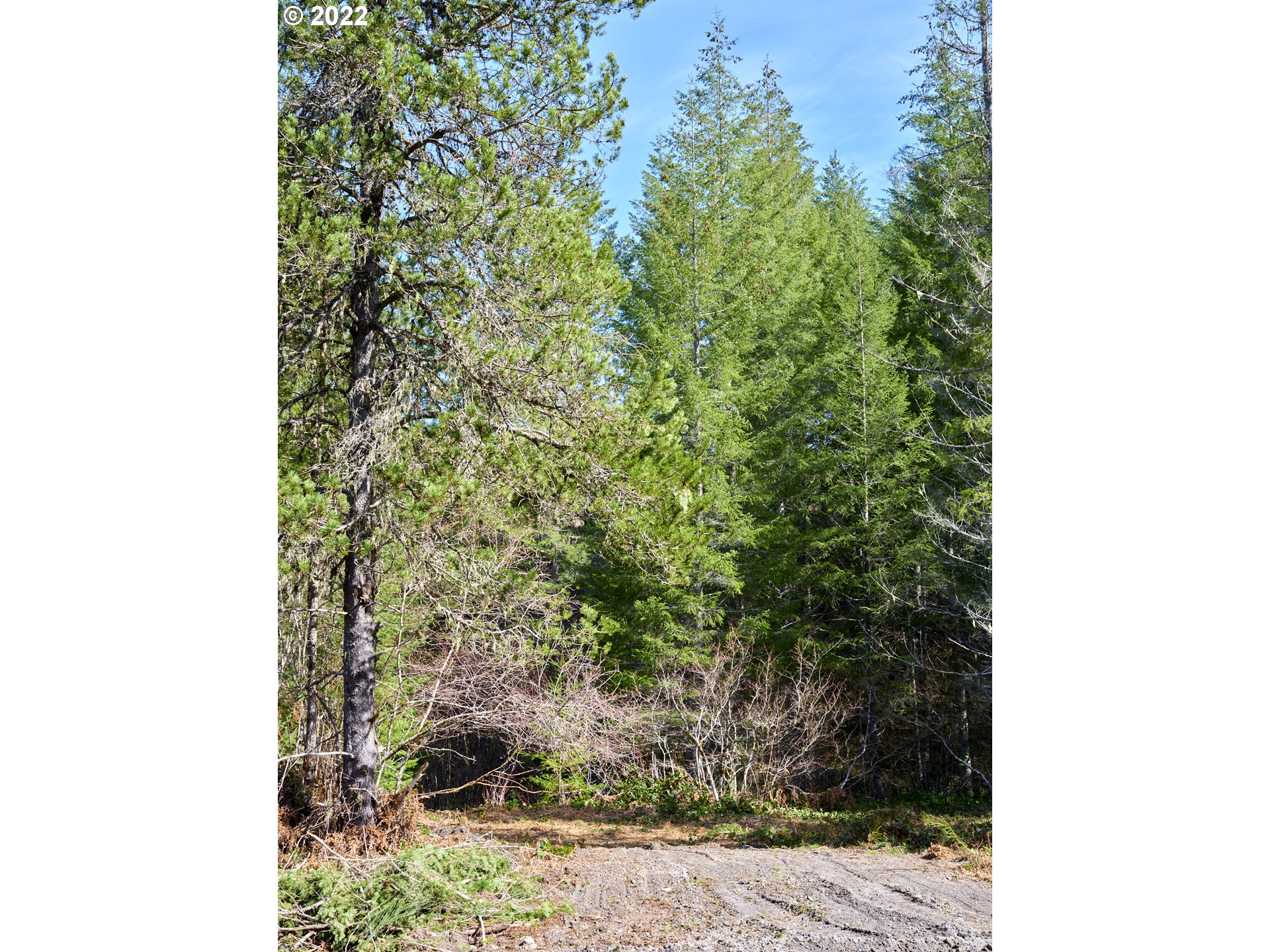 Lahar LN 8