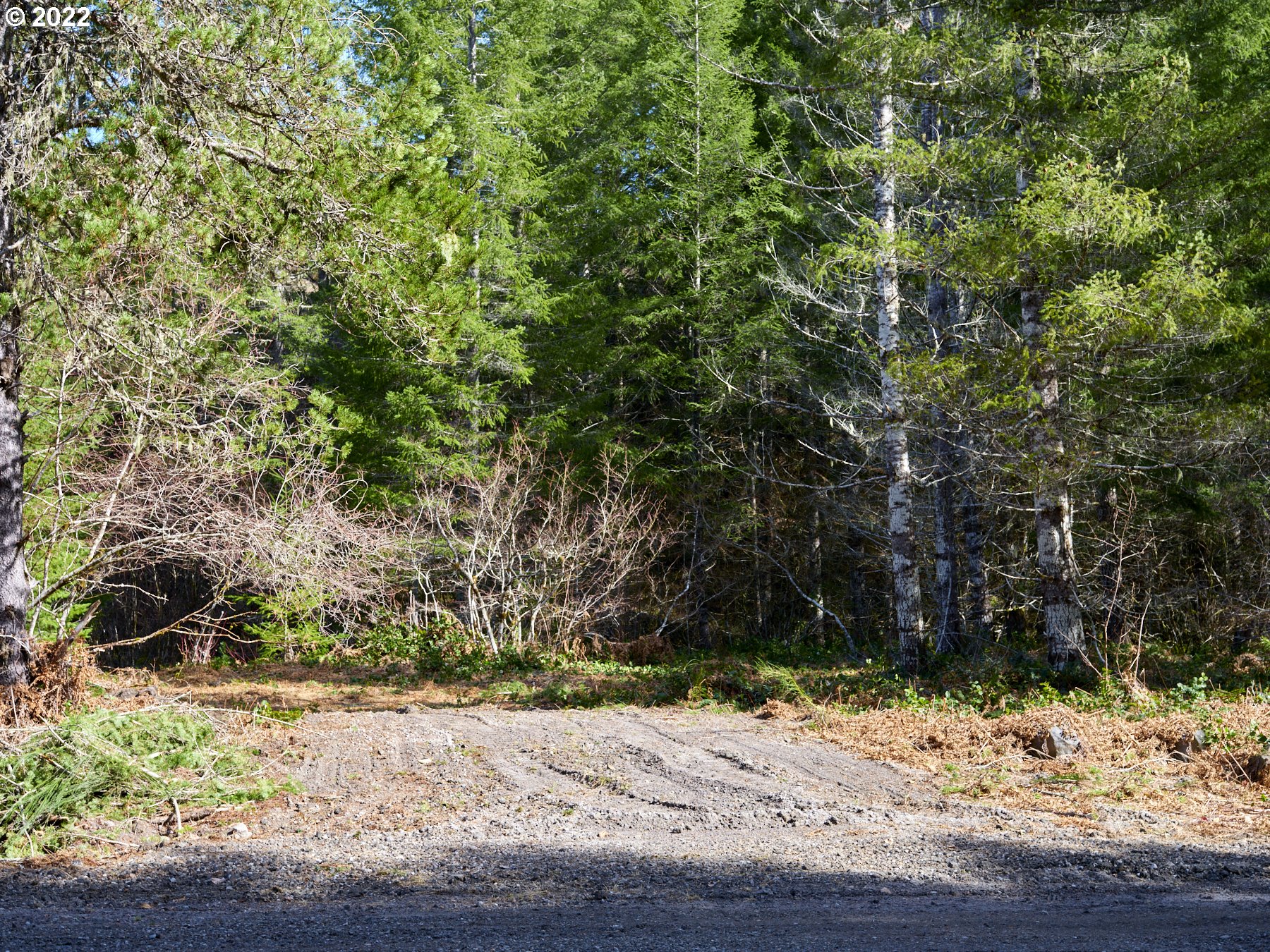 Lahar LN 8