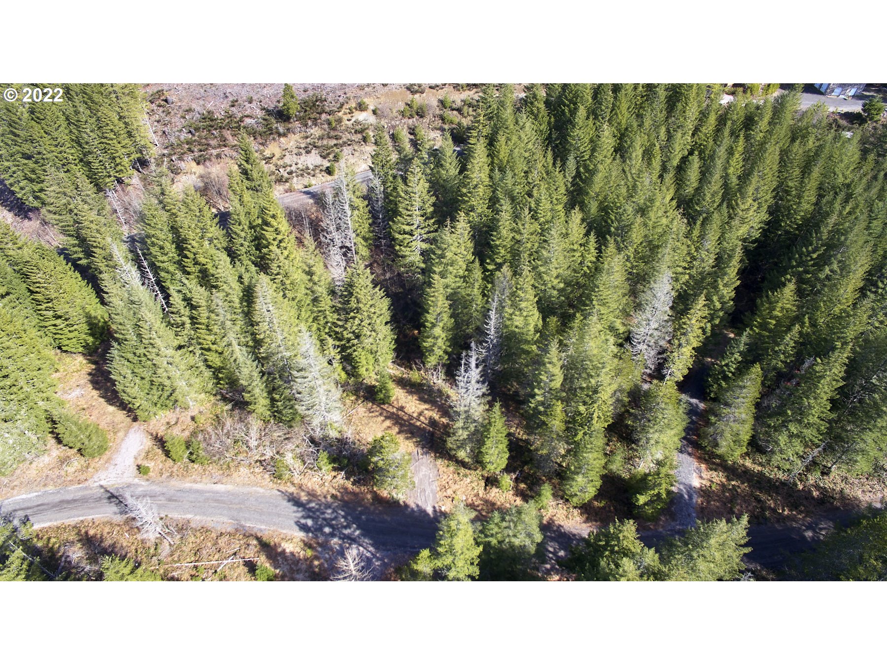 Lahar LN 8