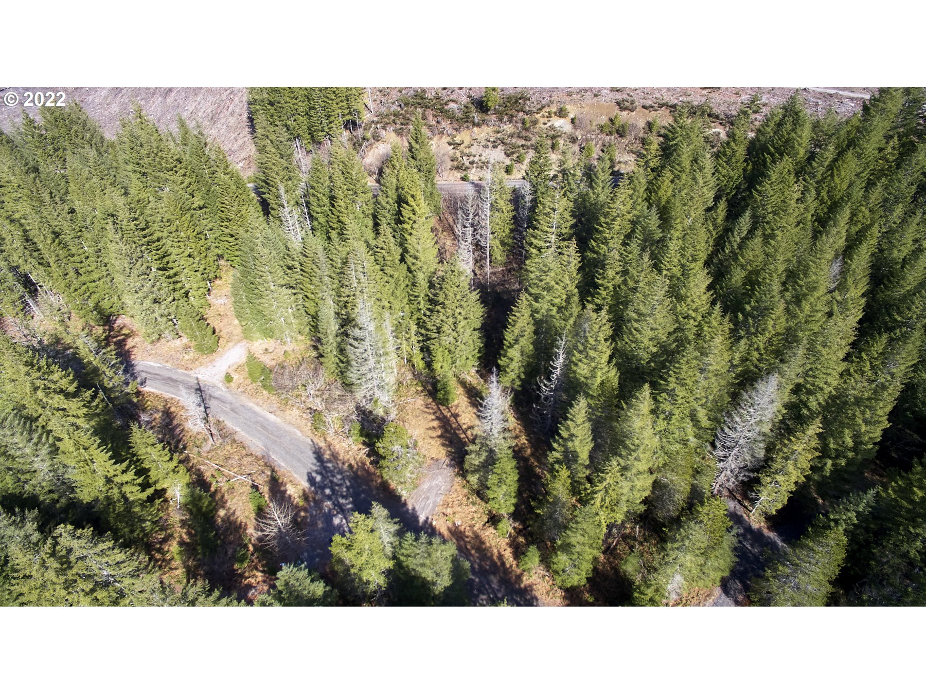Lahar LN 8