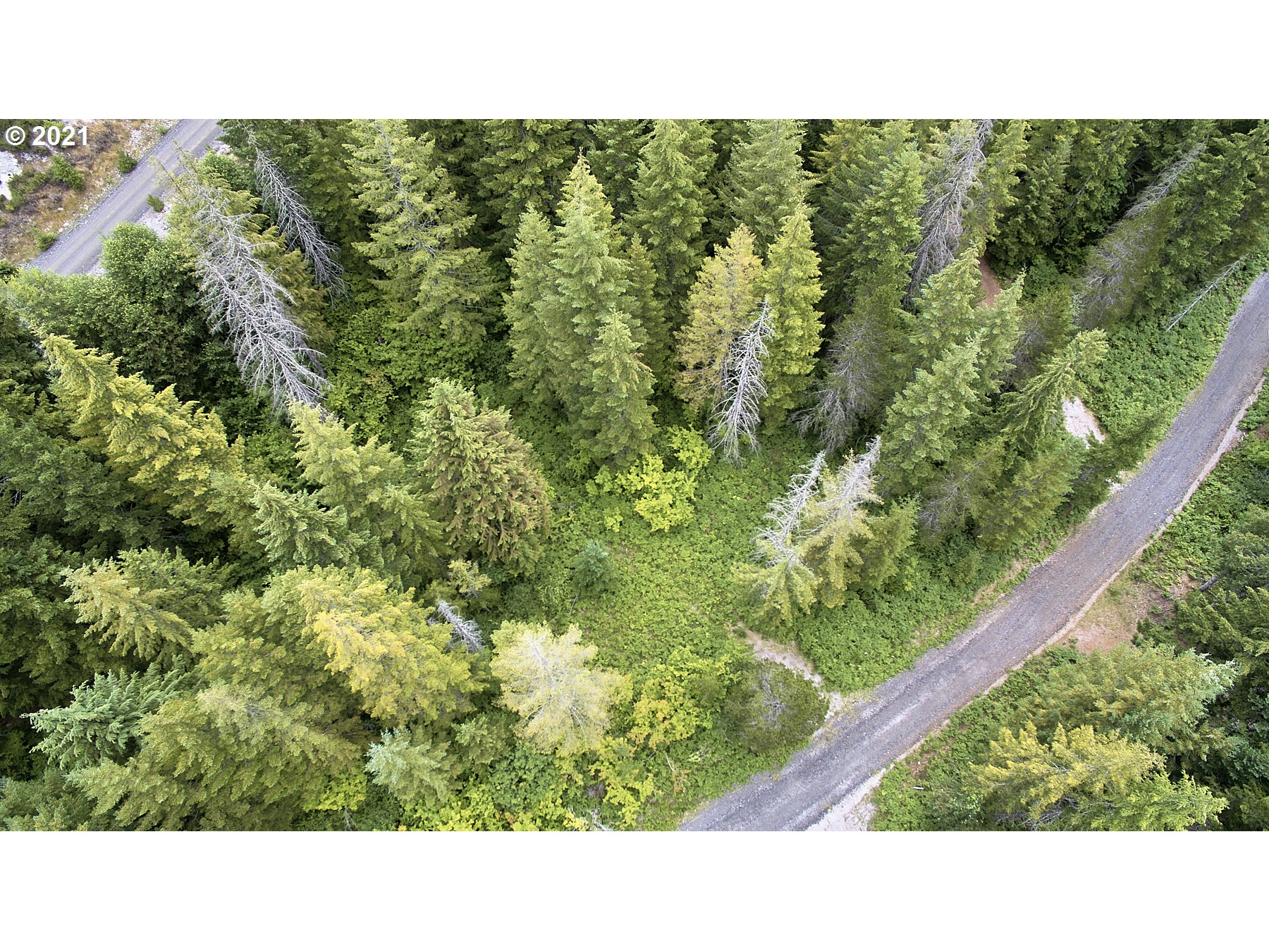 Lahar LN 8
