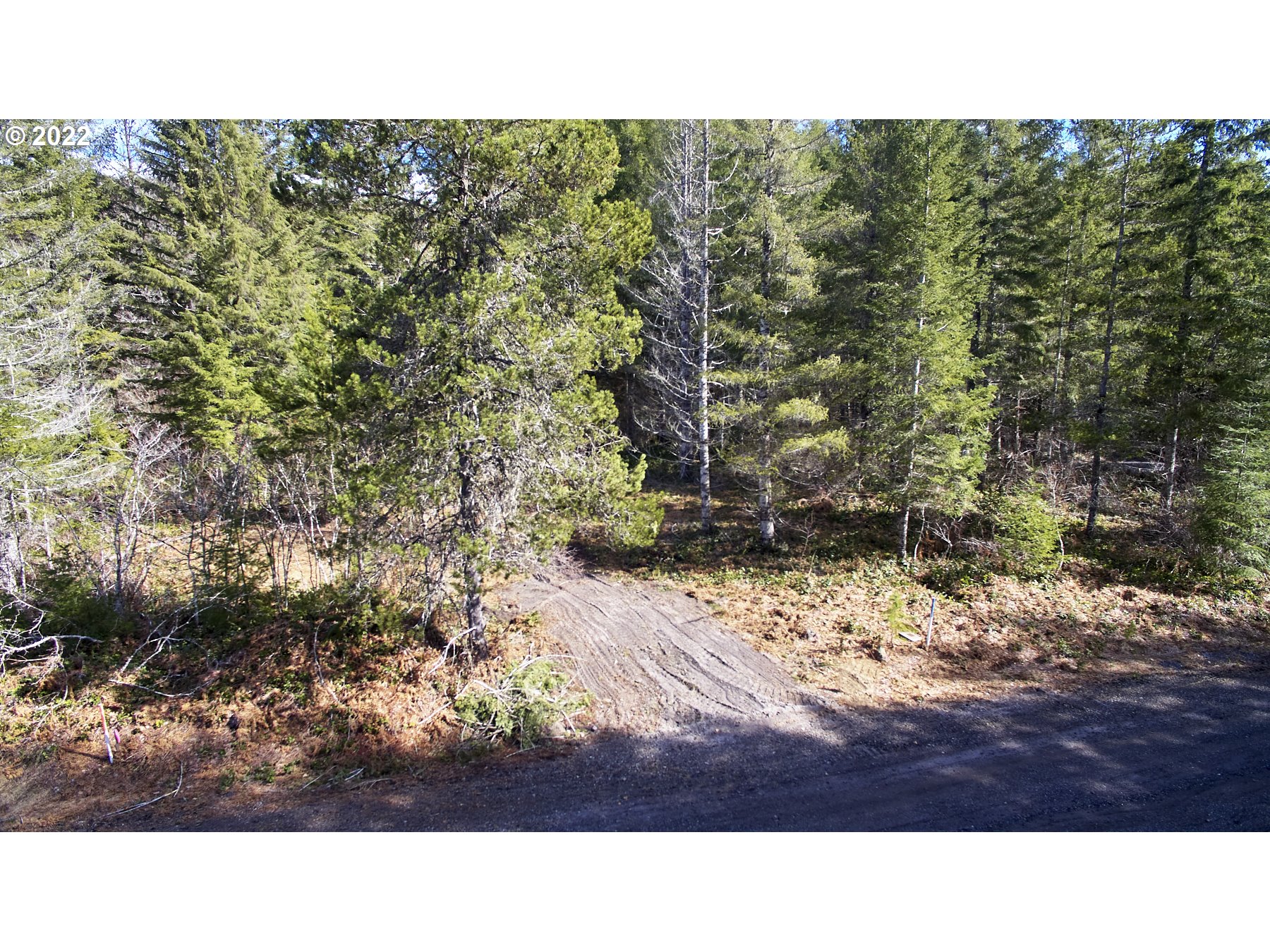 Lahar LN 8