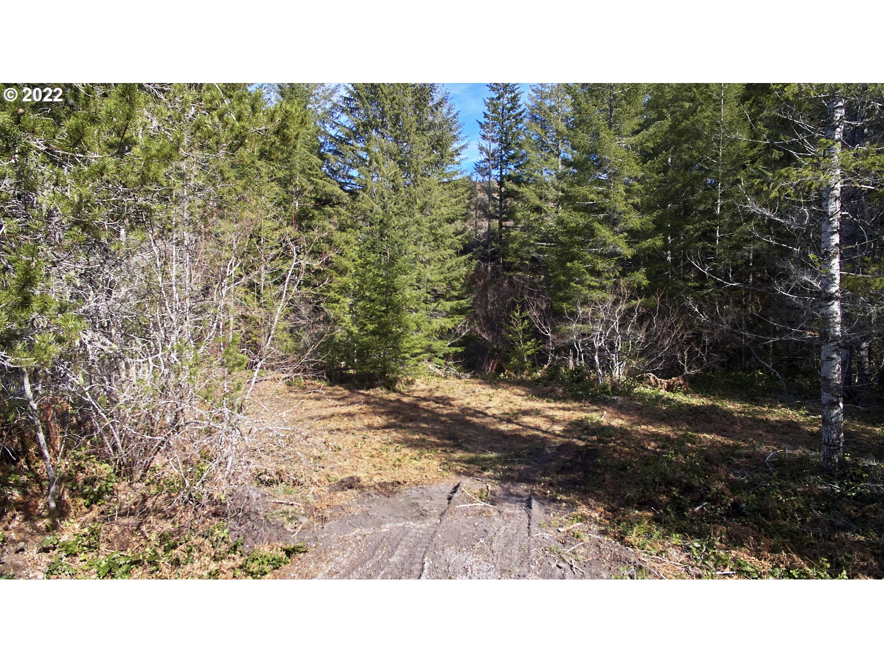 Lahar LN 8