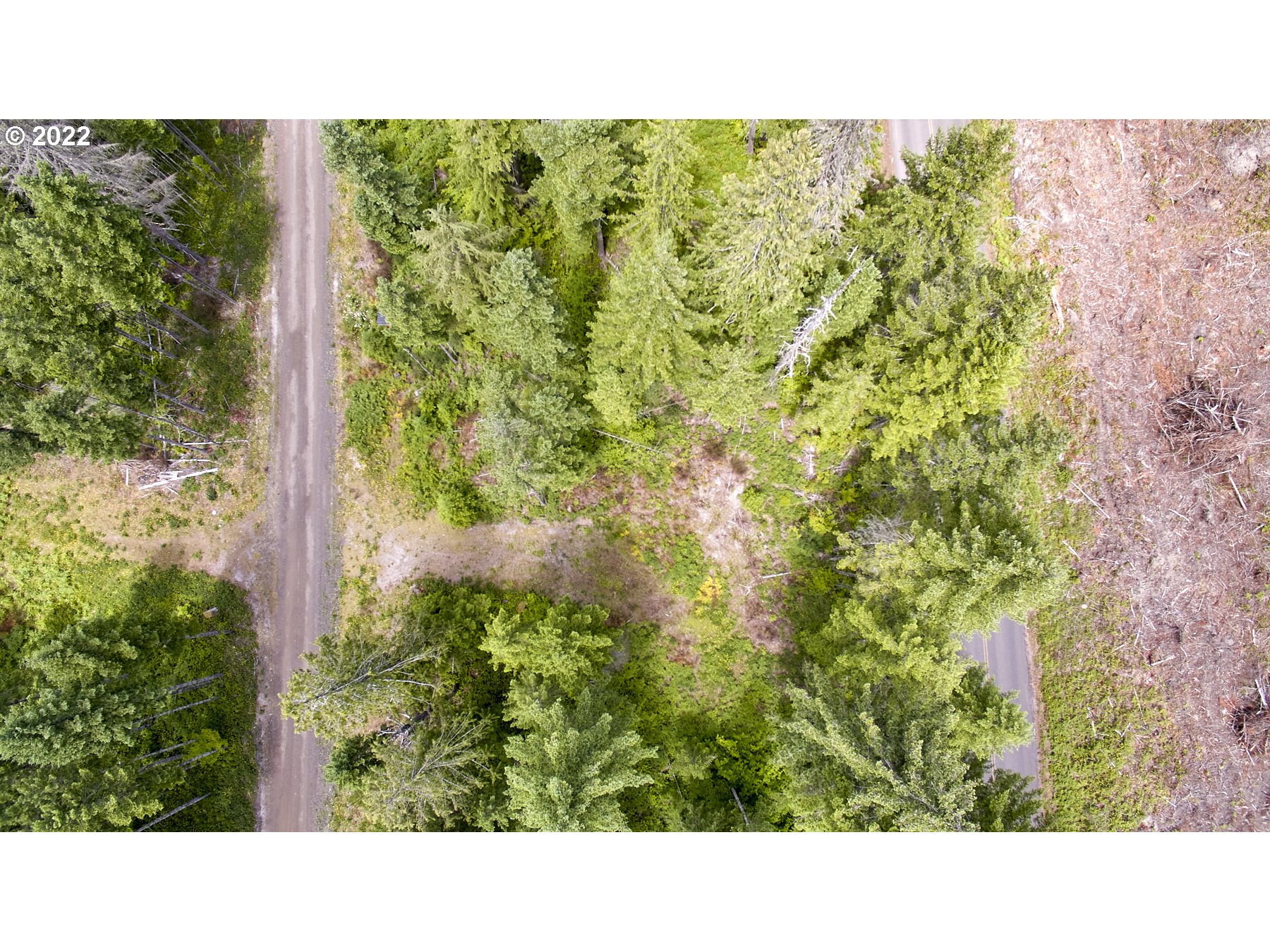 1 Lodgepole LN