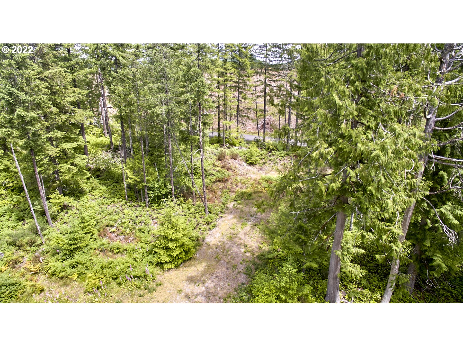 1 Lodgepole LN