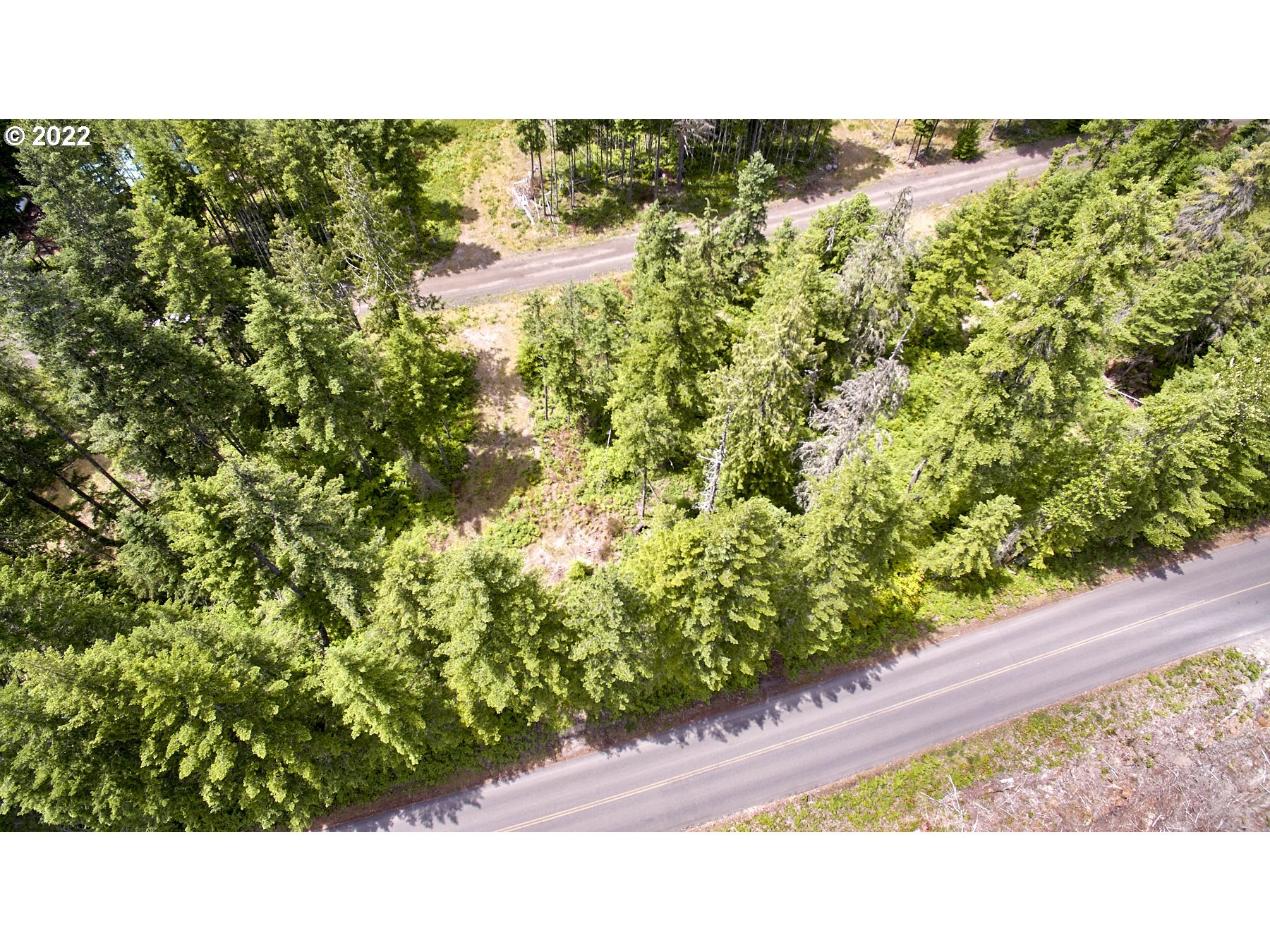 1 Lodgepole LN
