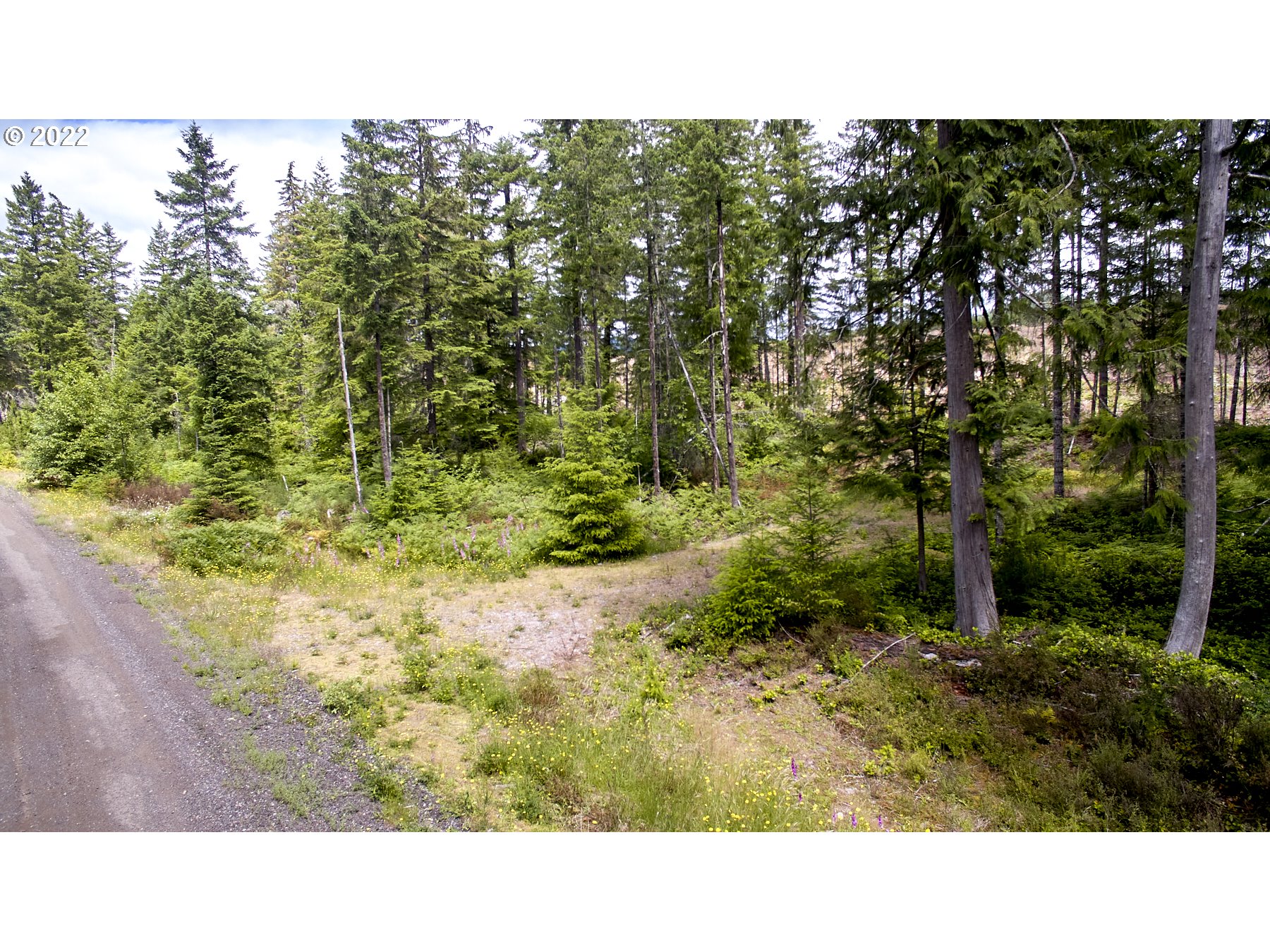 1 Lodgepole LN