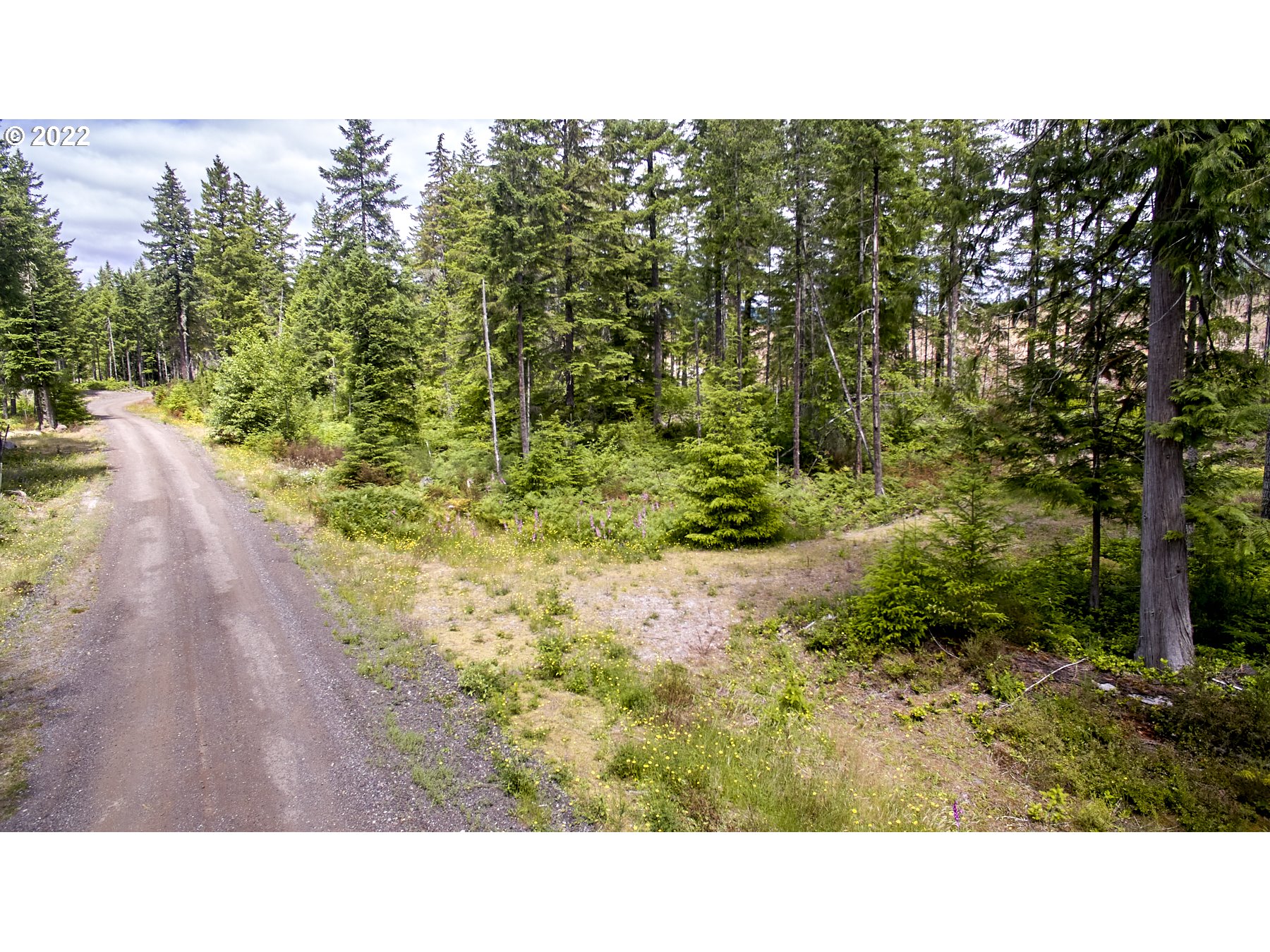 1 Lodgepole LN