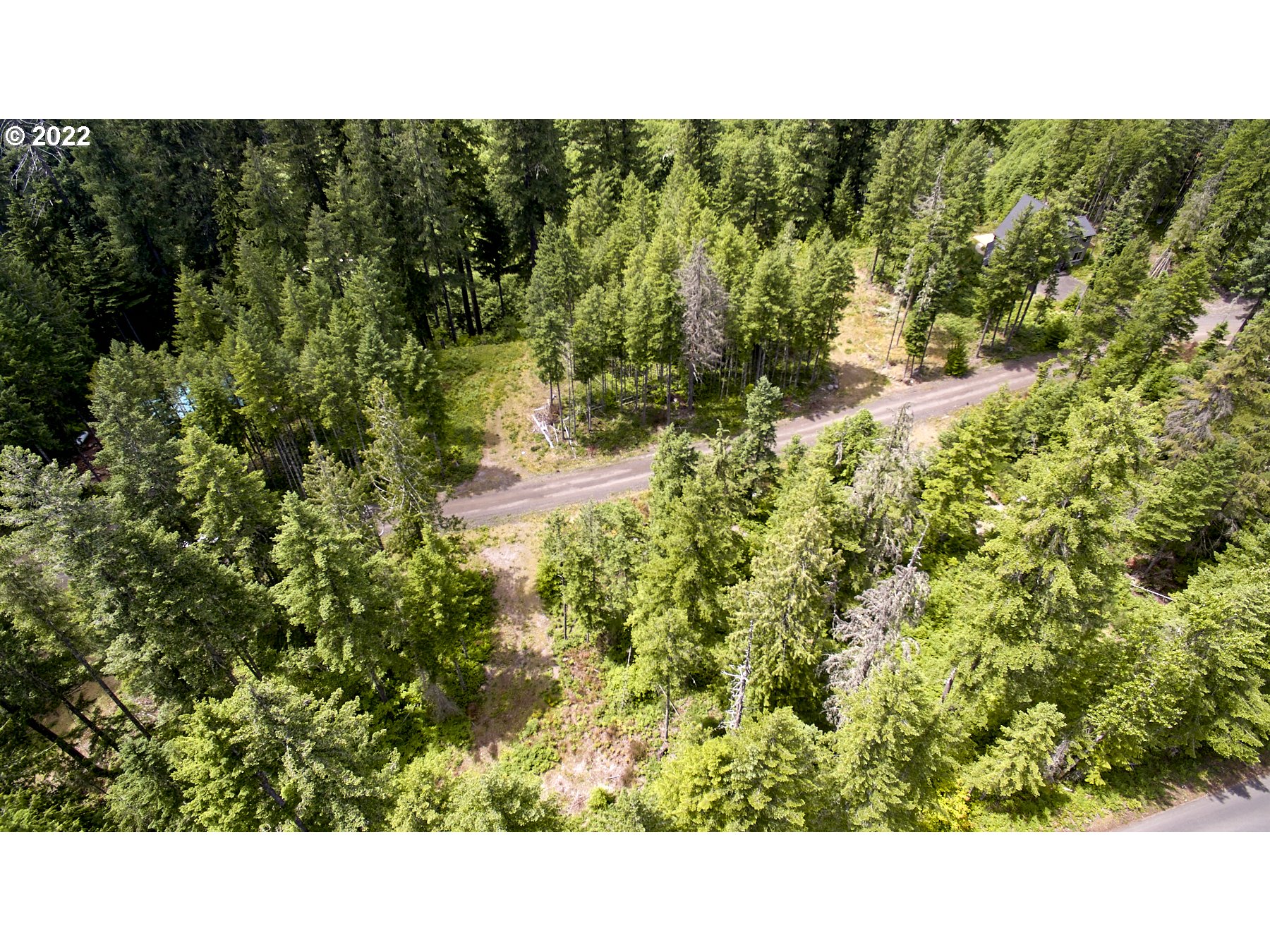 1 Lodgepole LN